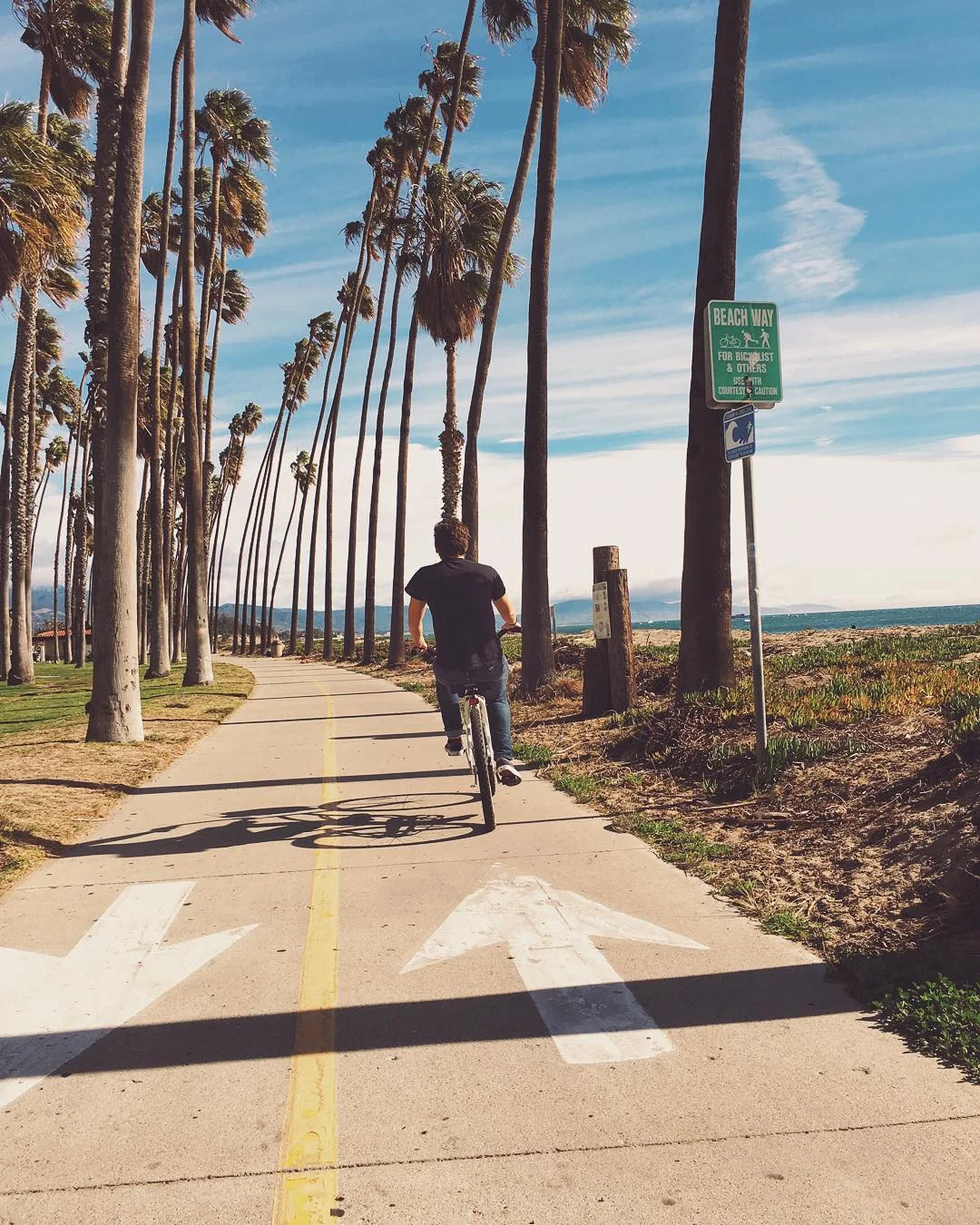 from-our-vacationer-days-biking-the-boardwalk-along-the-santabarbara-beach--on-the-way-to-the-zoo-dontkickjimmy-travel-wanderlust-letsgo-352365_23905855231_o.jpg