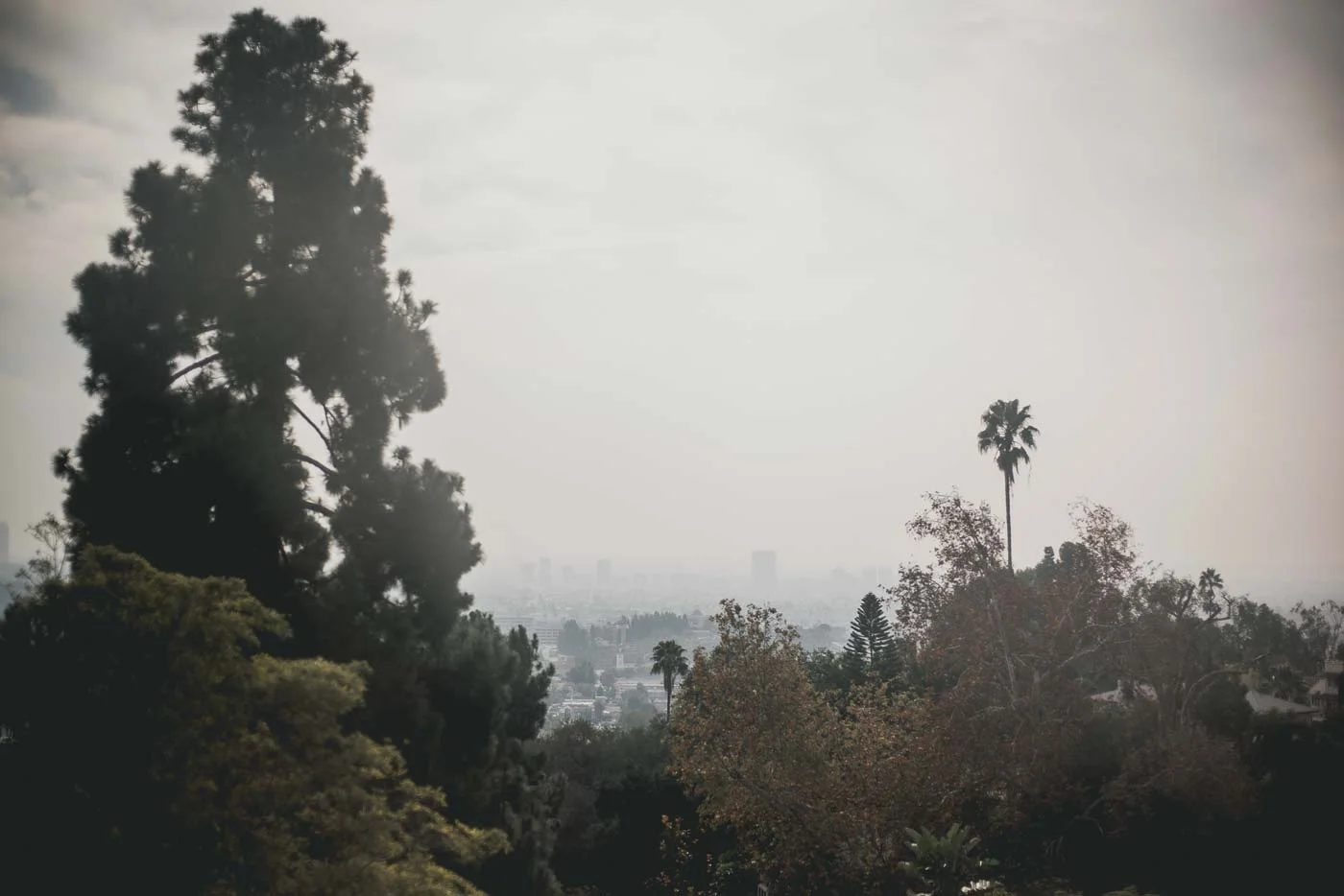 sLos-Feliz-Murder-Mansion---Jan-2016-53.jpg