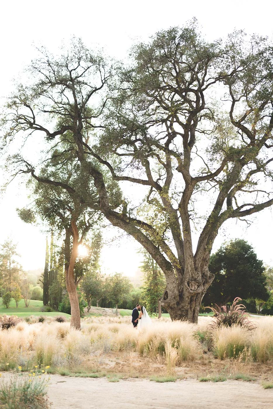 sTehra+James---Woodland-Hills-CC-391.jpg
