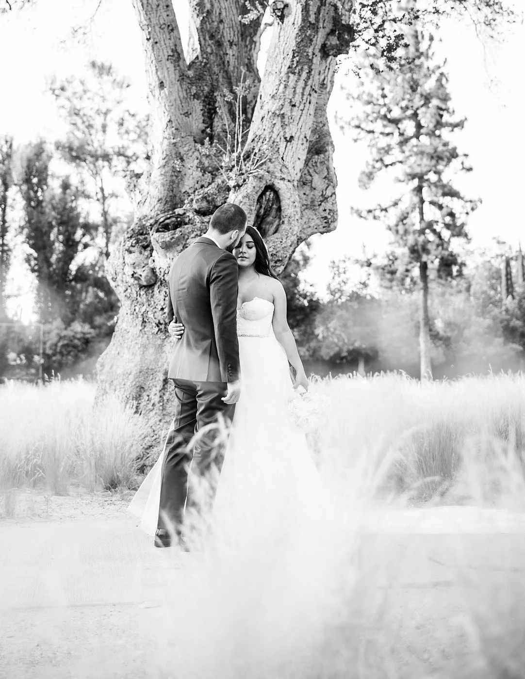 sTehra+James---Woodland-Hills-CC-410.jpg