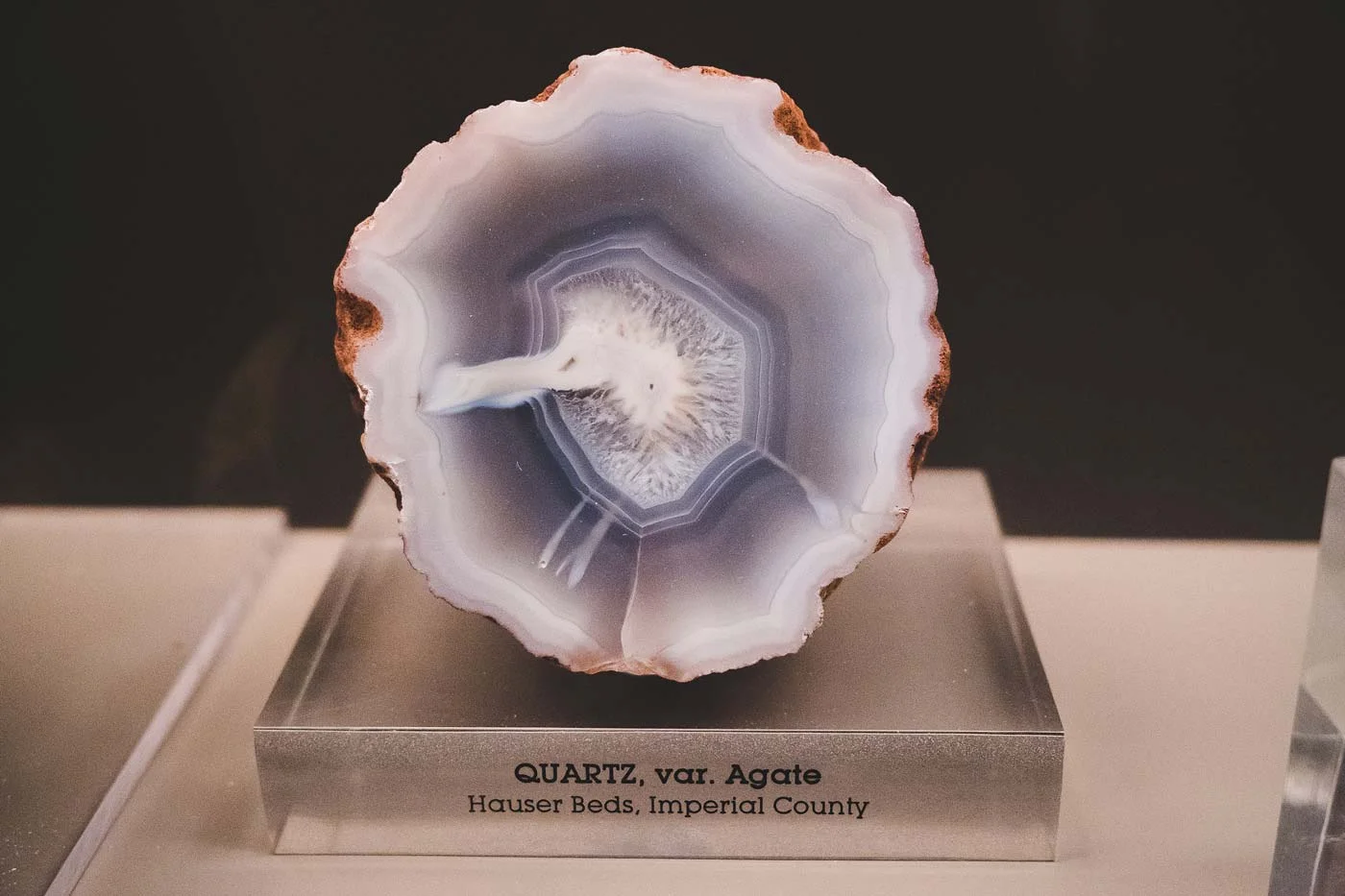 sNatural-History-Museum---Feb-2017-3.jpg