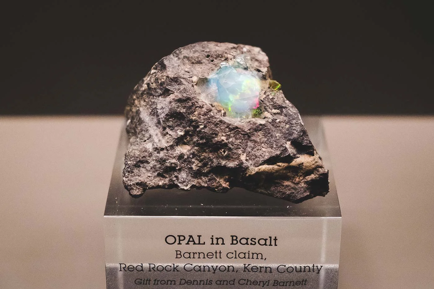 sNatural-History-Museum---Feb-2017-4.jpg