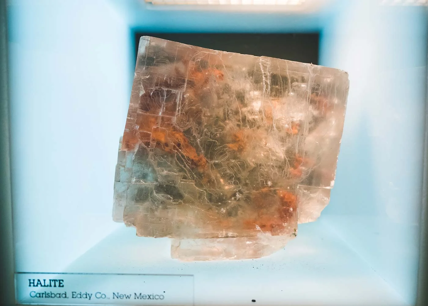 sNatural-History-Museum---Feb-2017-5.jpg