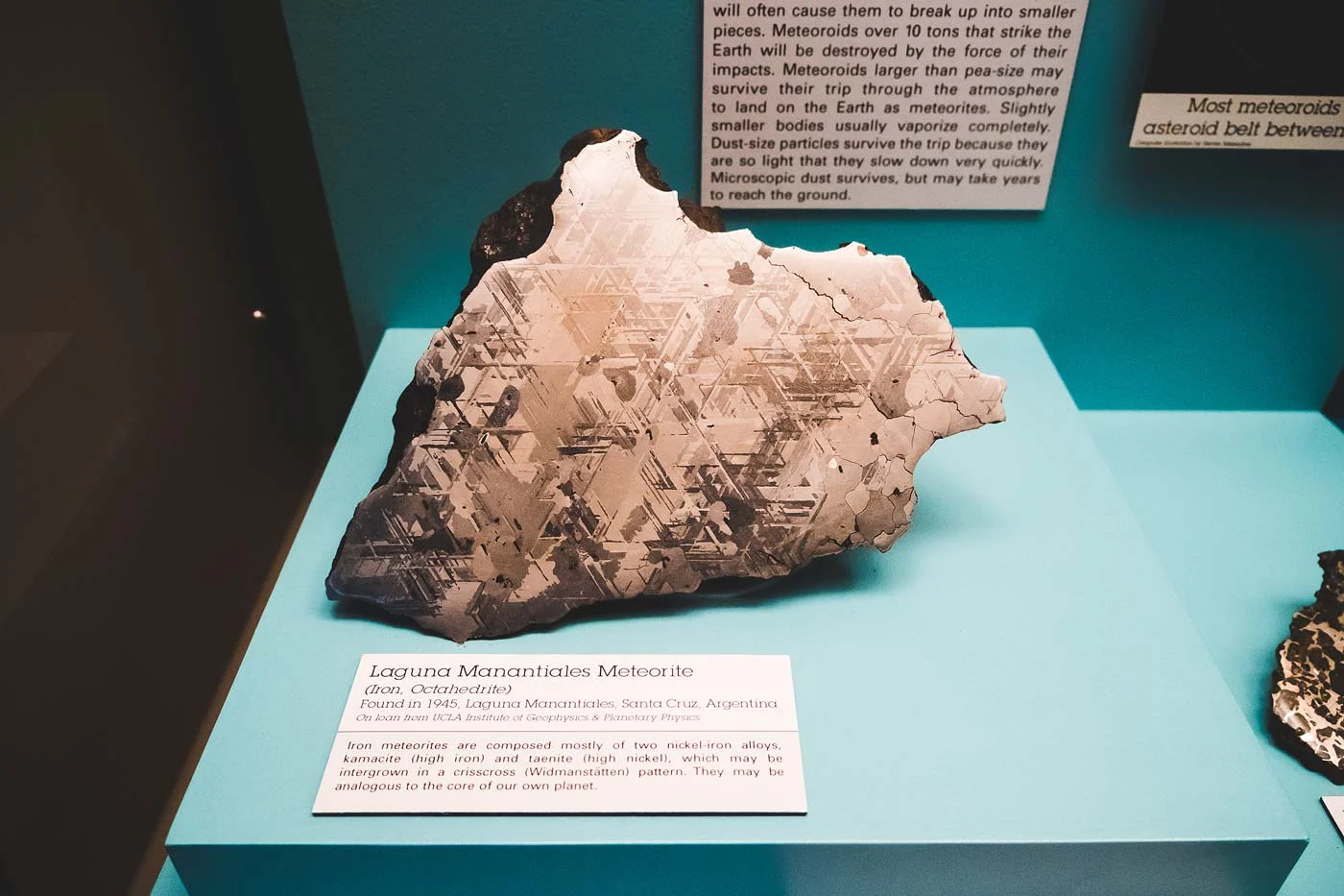 sNatural-History-Museum---Feb-2017-8.jpg
