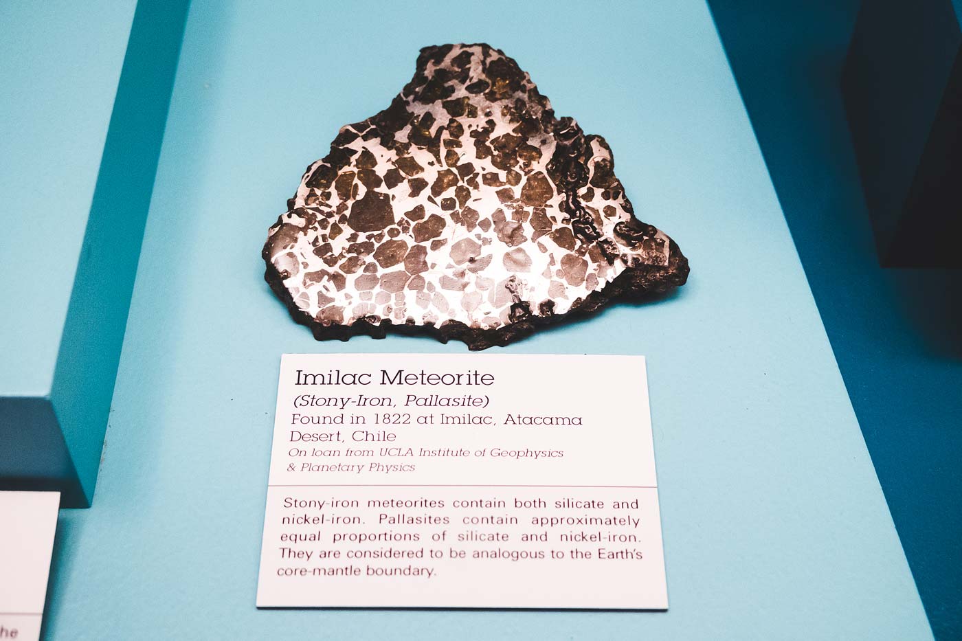 sNatural-History-Museum---Feb-2017-9.jpg
