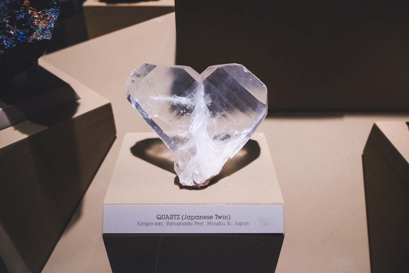 sNatural-History-Museum---Feb-2017-13.jpg