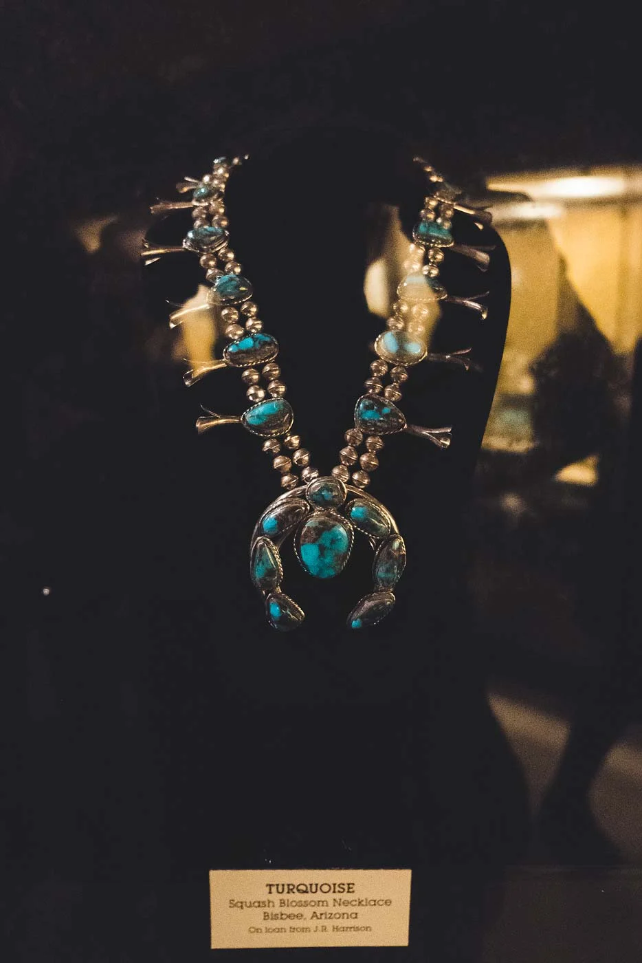 sNatural-History-Museum---Feb-2017-14.jpg