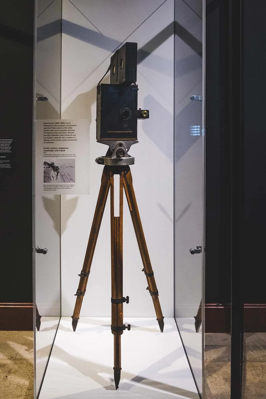 sNatural-History-Museum---Feb-2017-39.jpg