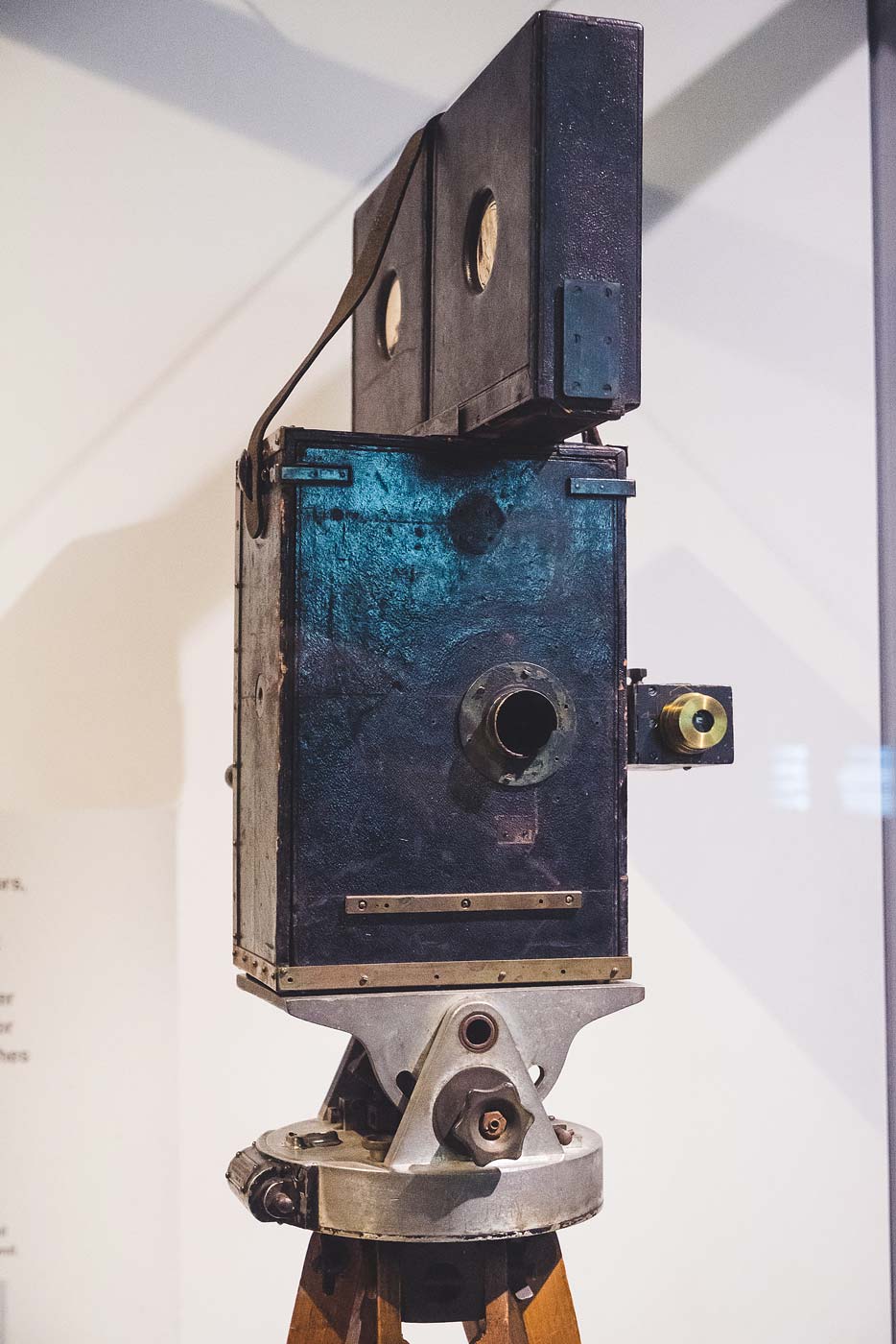 sNatural-History-Museum---Feb-2017-40.jpg