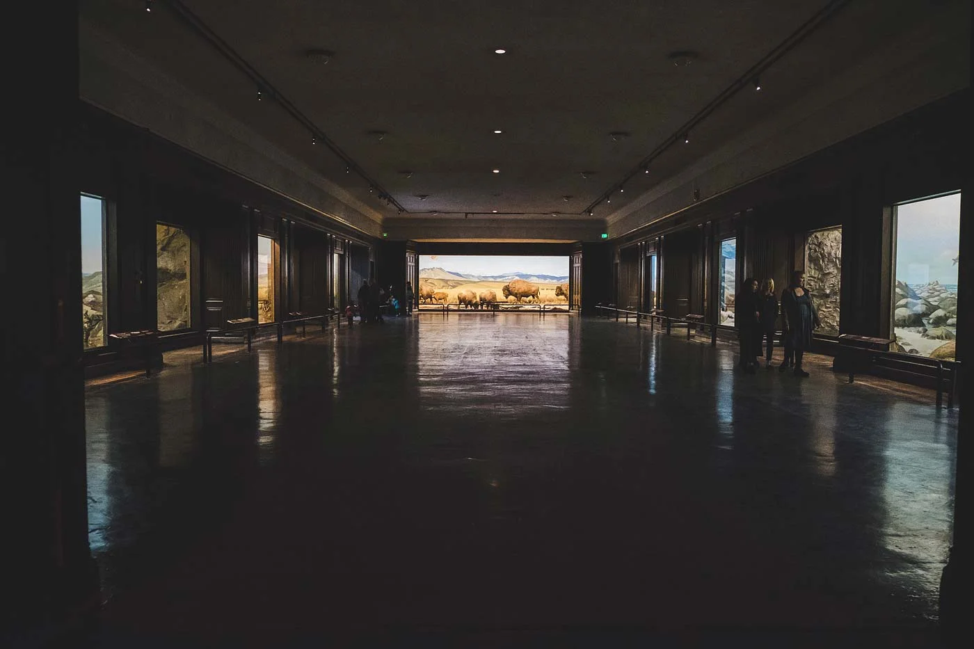 sNatural-History-Museum---Feb-2017-46.jpg