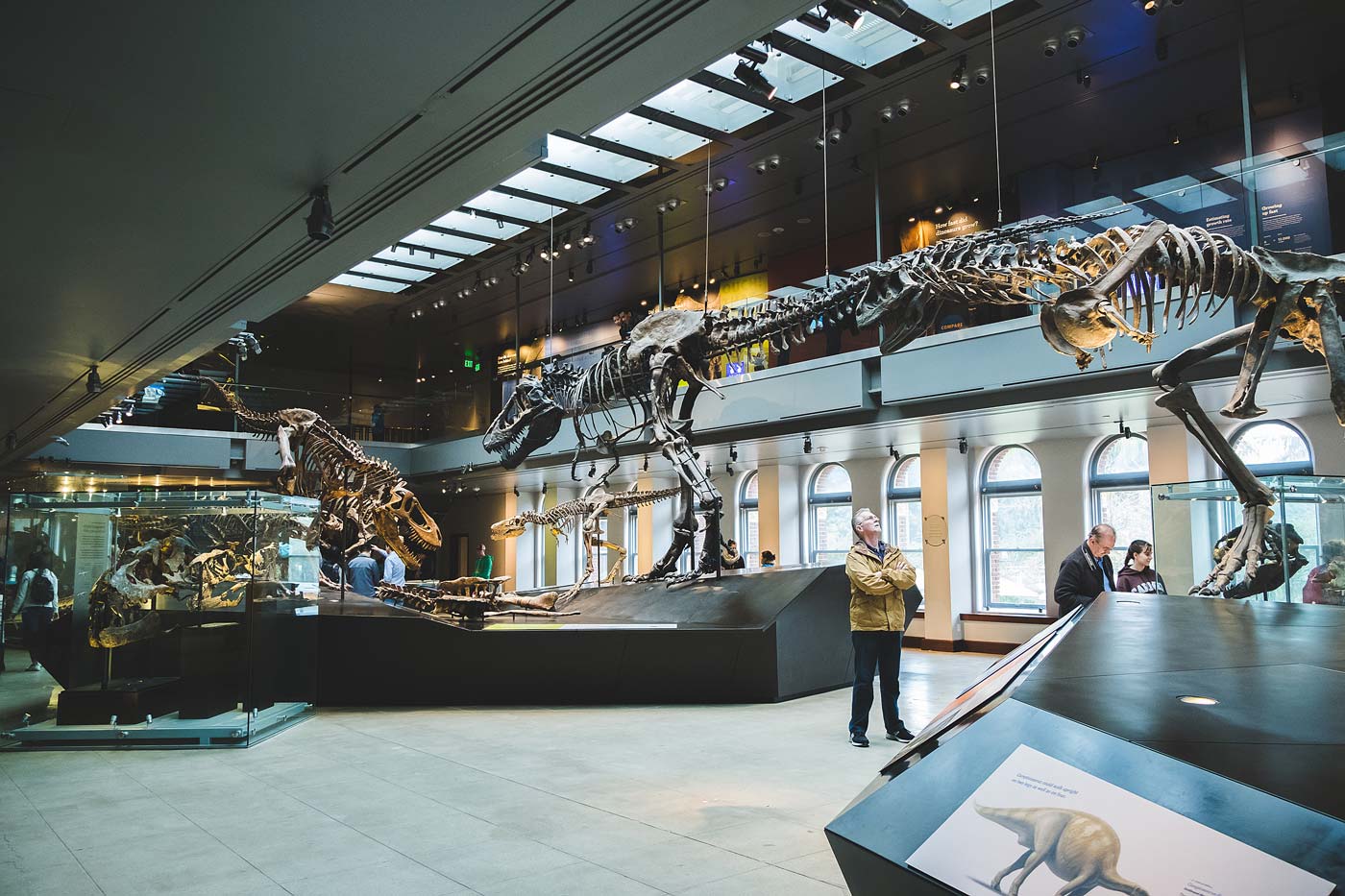 sNatural-History-Museum---Feb-2017-78.jpg