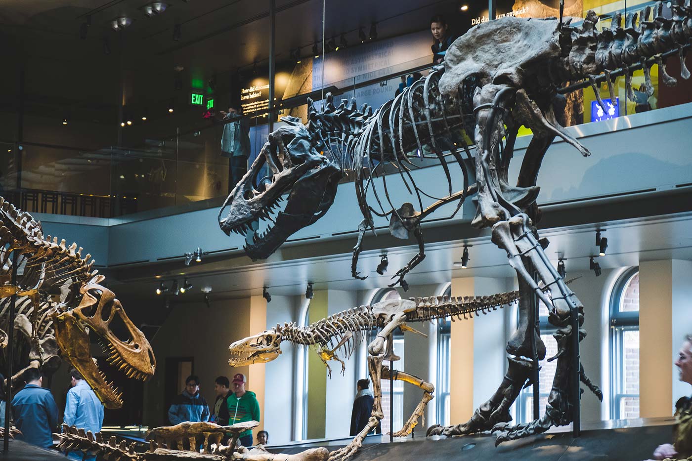 sNatural-History-Museum---Feb-2017-79.jpg