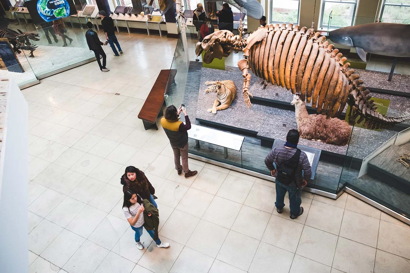 sNatural-History-Museum---Feb-2017-103.jpg
