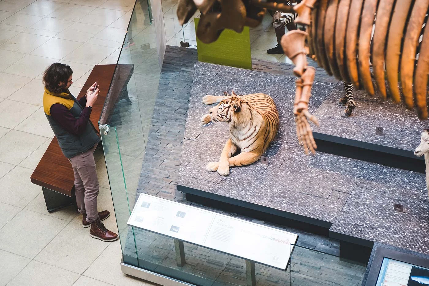 sNatural-History-Museum---Feb-2017-104.jpg