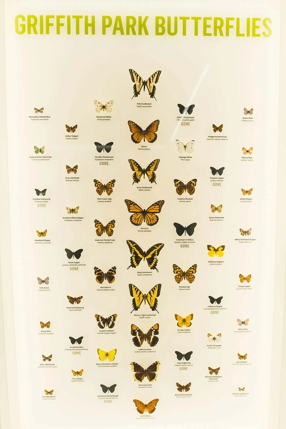 sNatural-History-Museum---Feb-2017-106.jpg