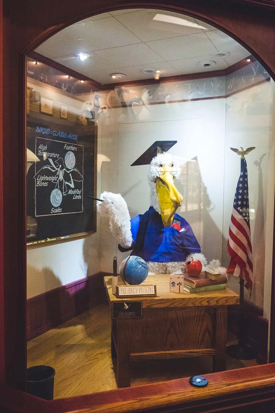 sNatural-History-Museum---Feb-2017-134.jpg