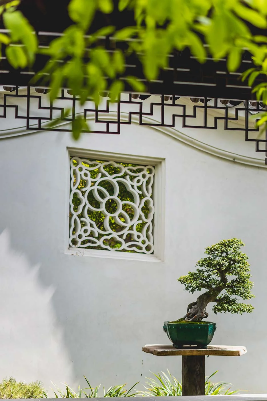 sExploring-Half-of-the-Huntington-Gardens-29.jpg
