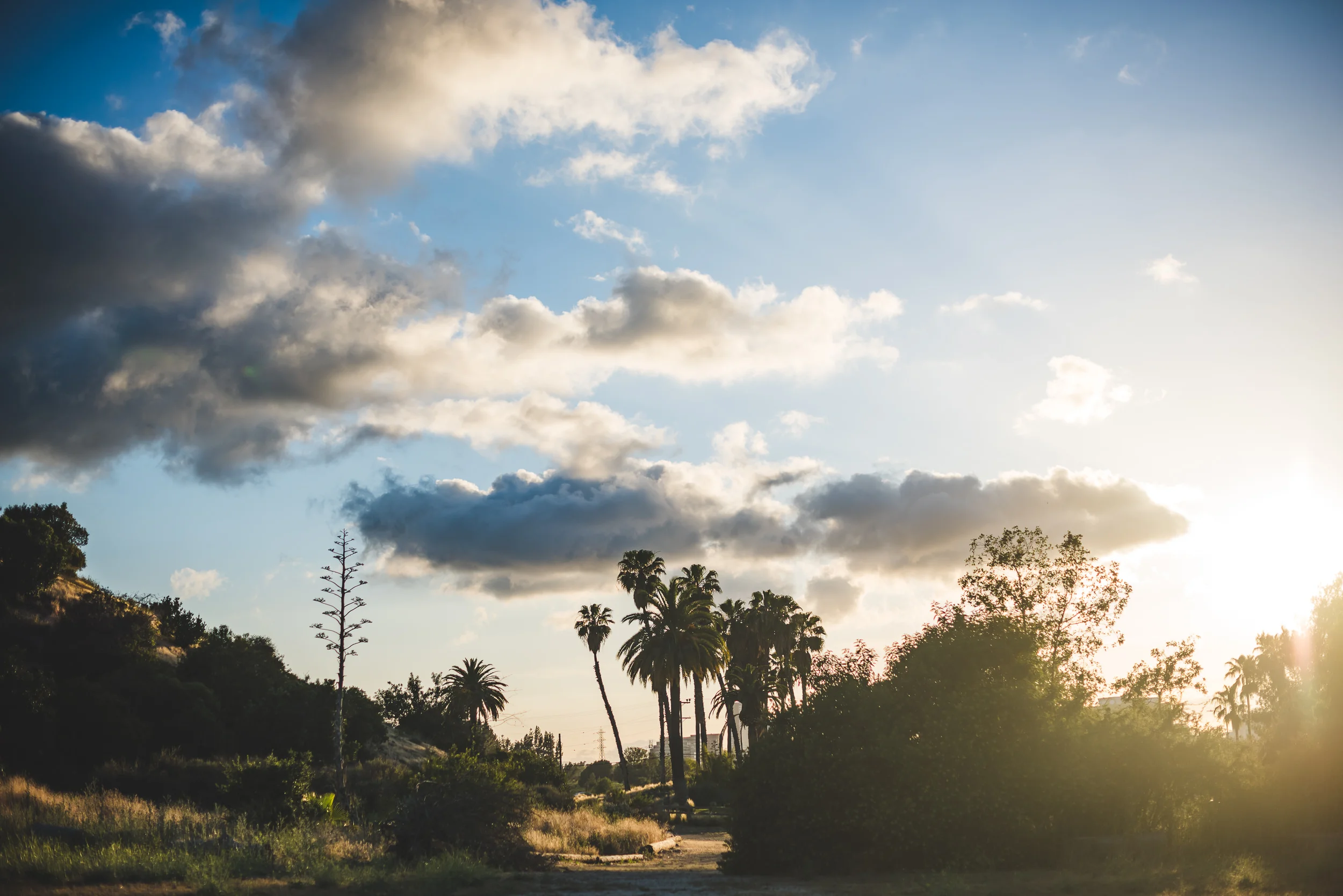 sErika + Daniel - Engagement-103.jpg