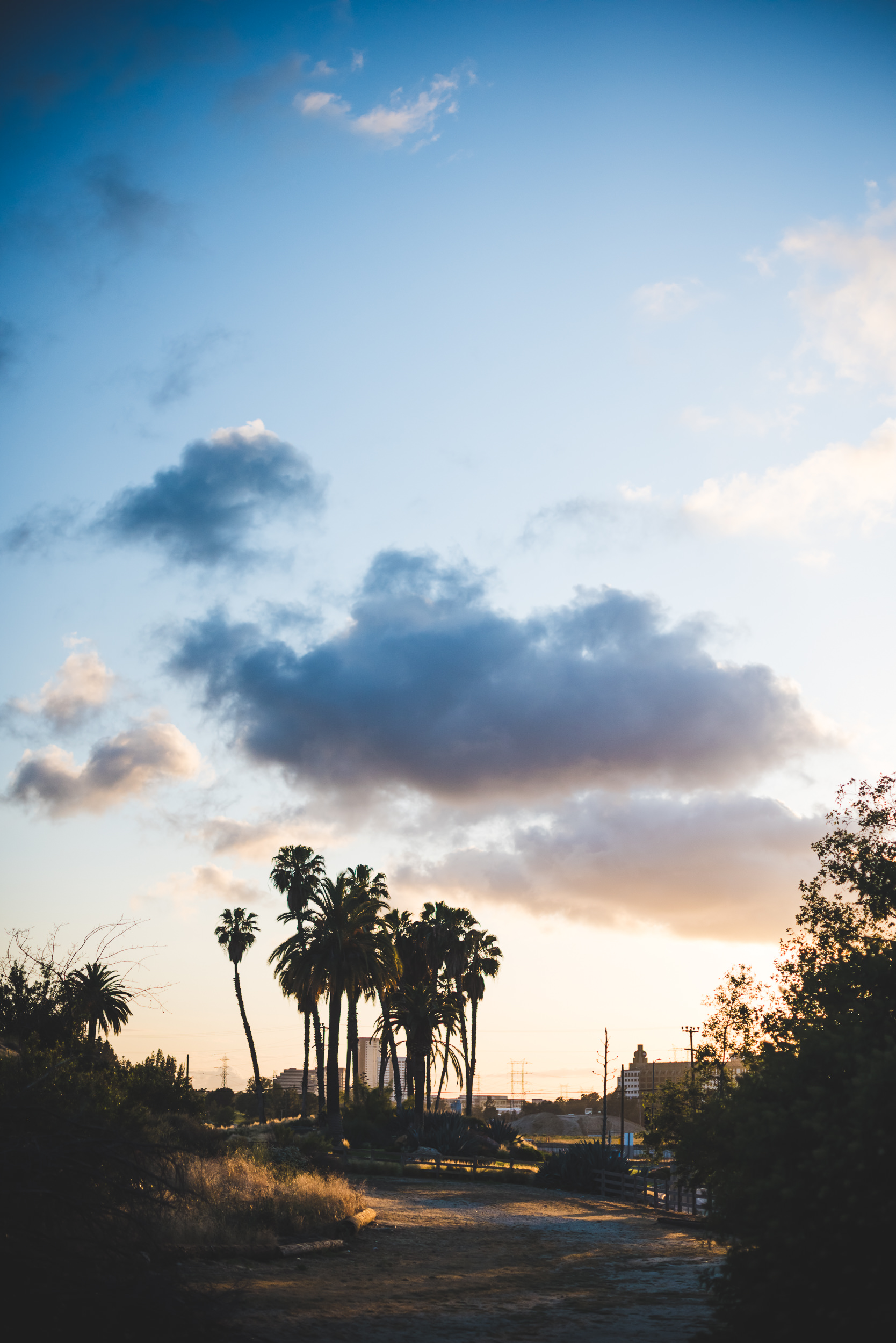 sErika + Daniel - Engagement-165.jpg