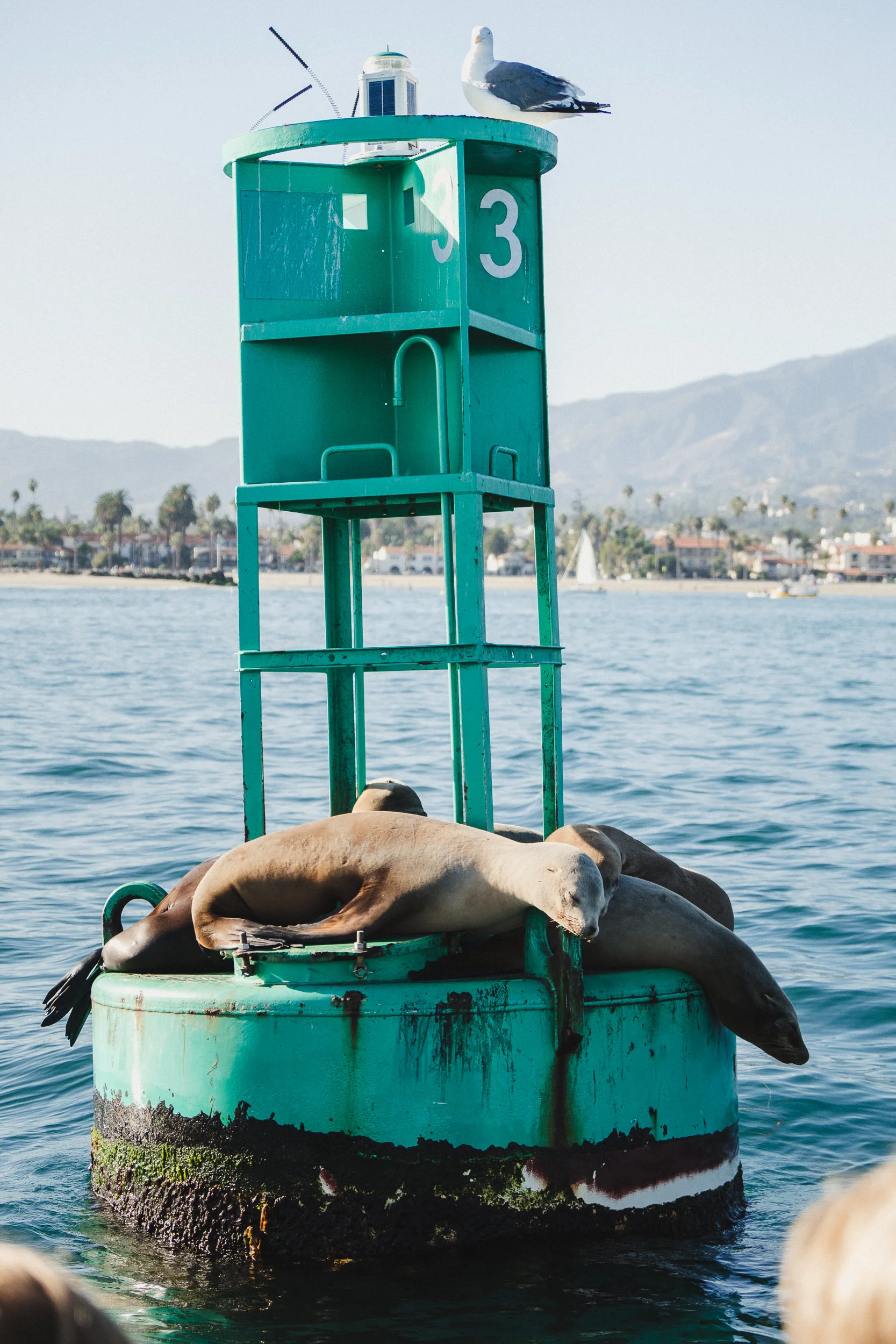 sSarah's Bachelorette Weekend - Santa Barbara-22.jpg