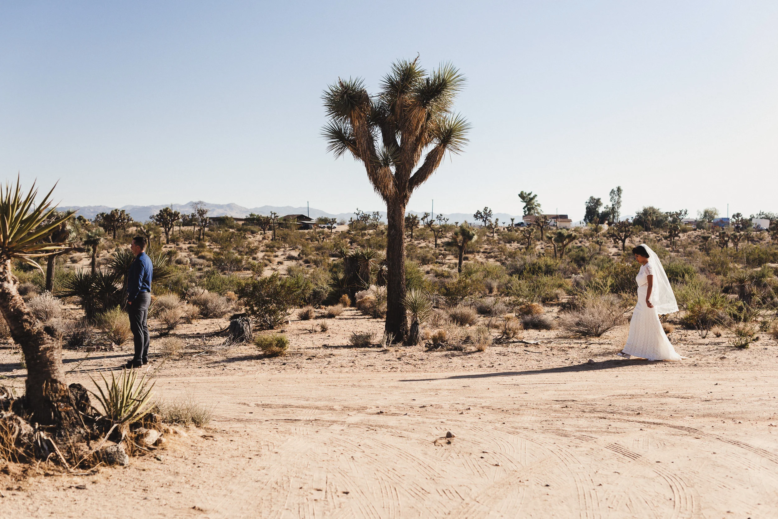 sJ + N - Joshua Tree, CA - 04 First Look-2.jpg
