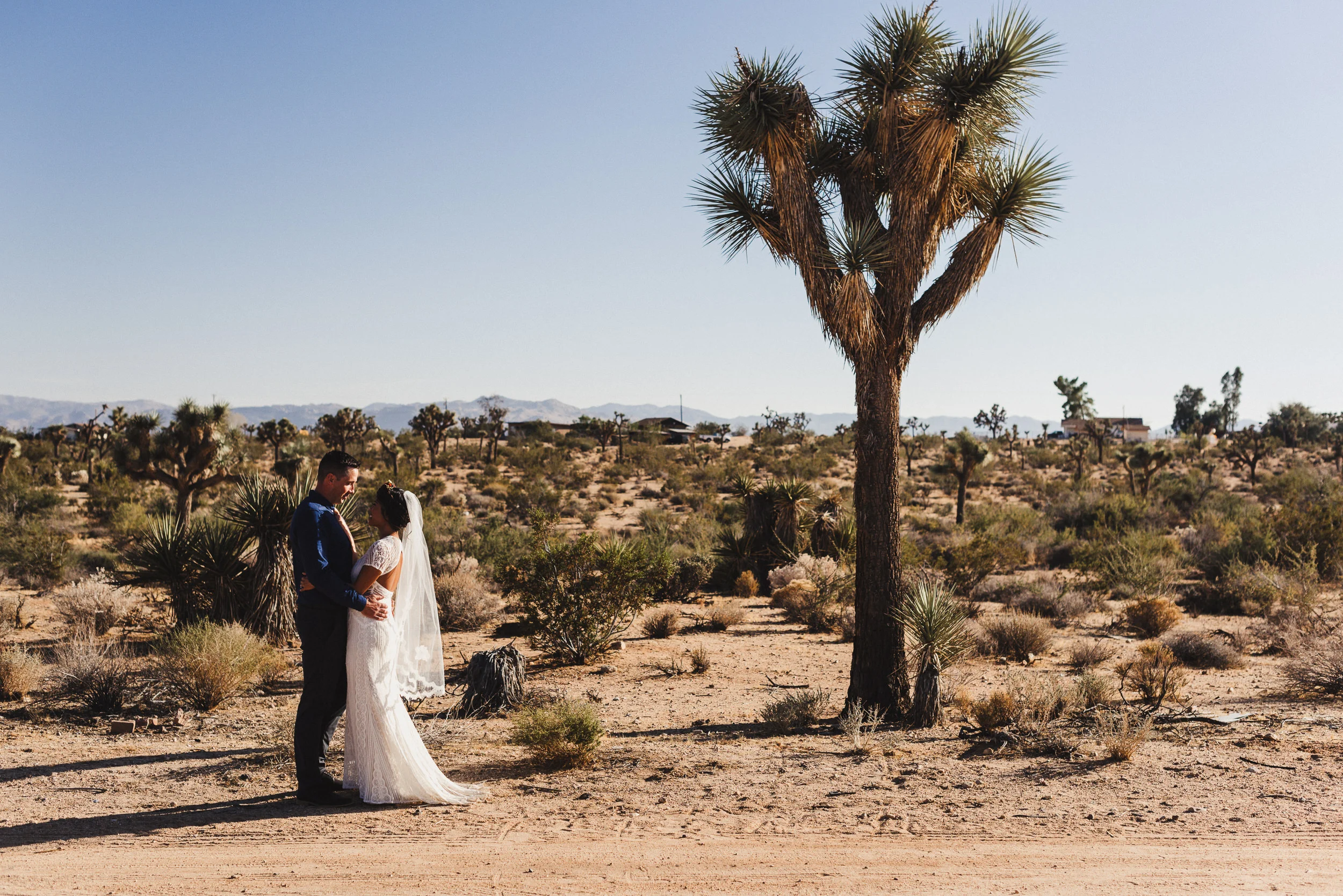 sJ + N - Joshua Tree, CA - 04 First Look-6.jpg