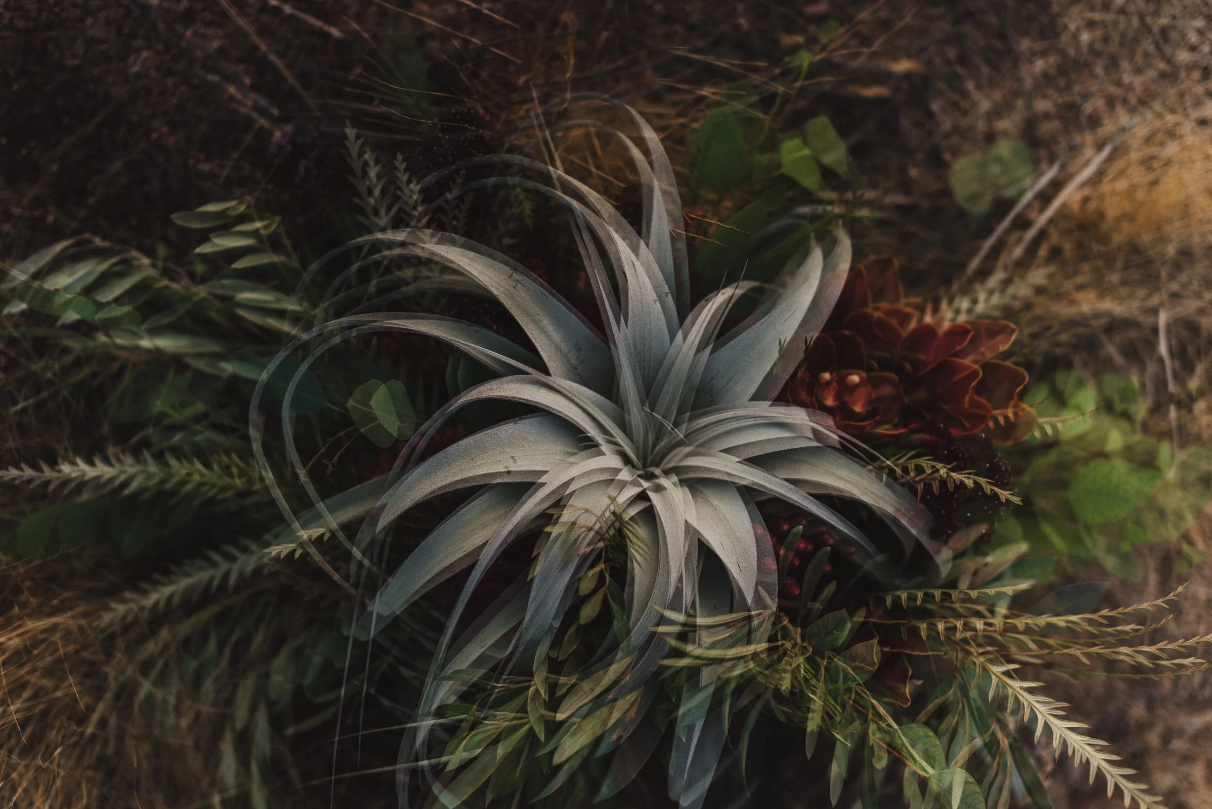 sMagdalena + Yoan - Elopement, Joshua Tree CA-70.jpg