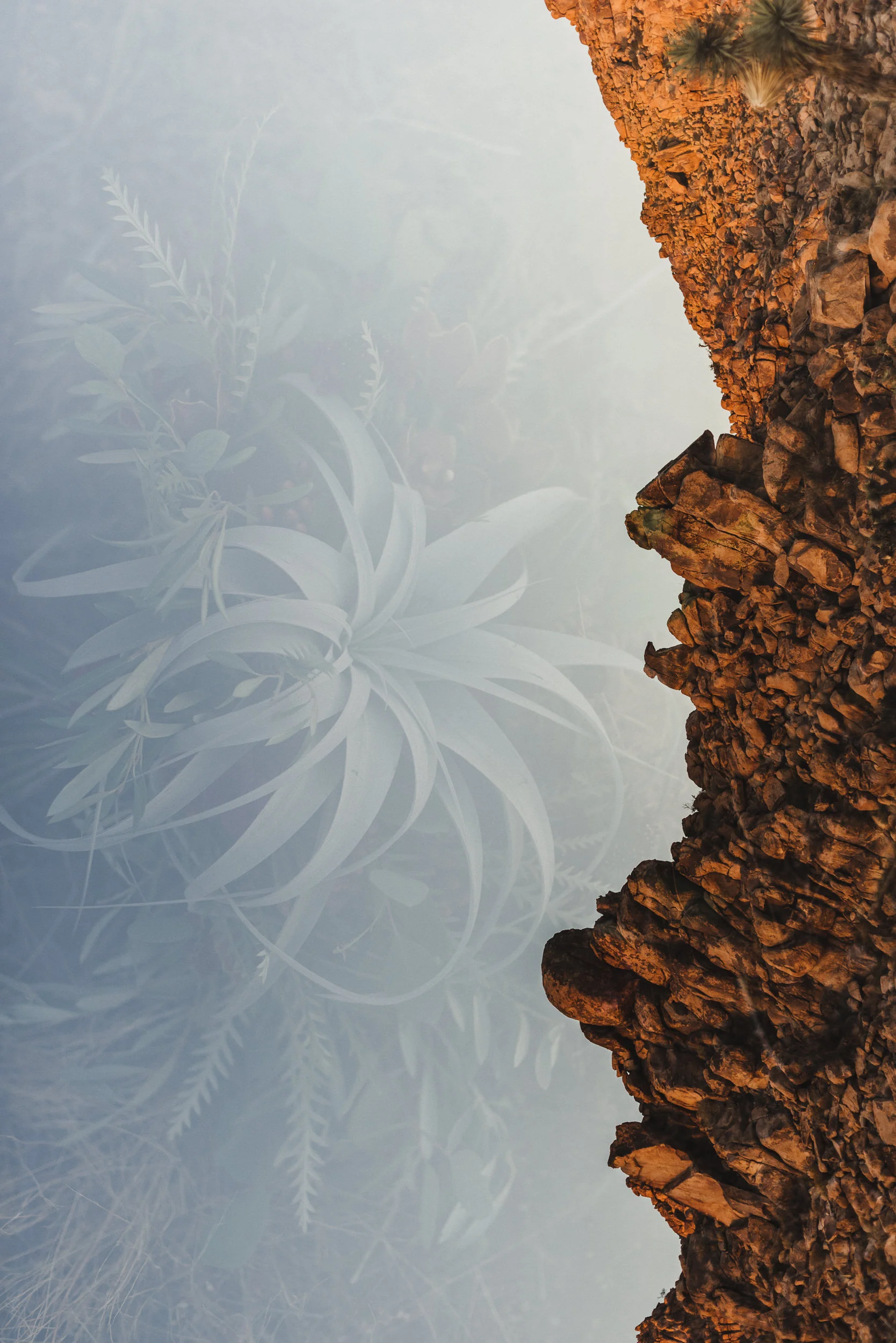 sMagdalena + Yoan - Elopement, Joshua Tree CA-71.jpg