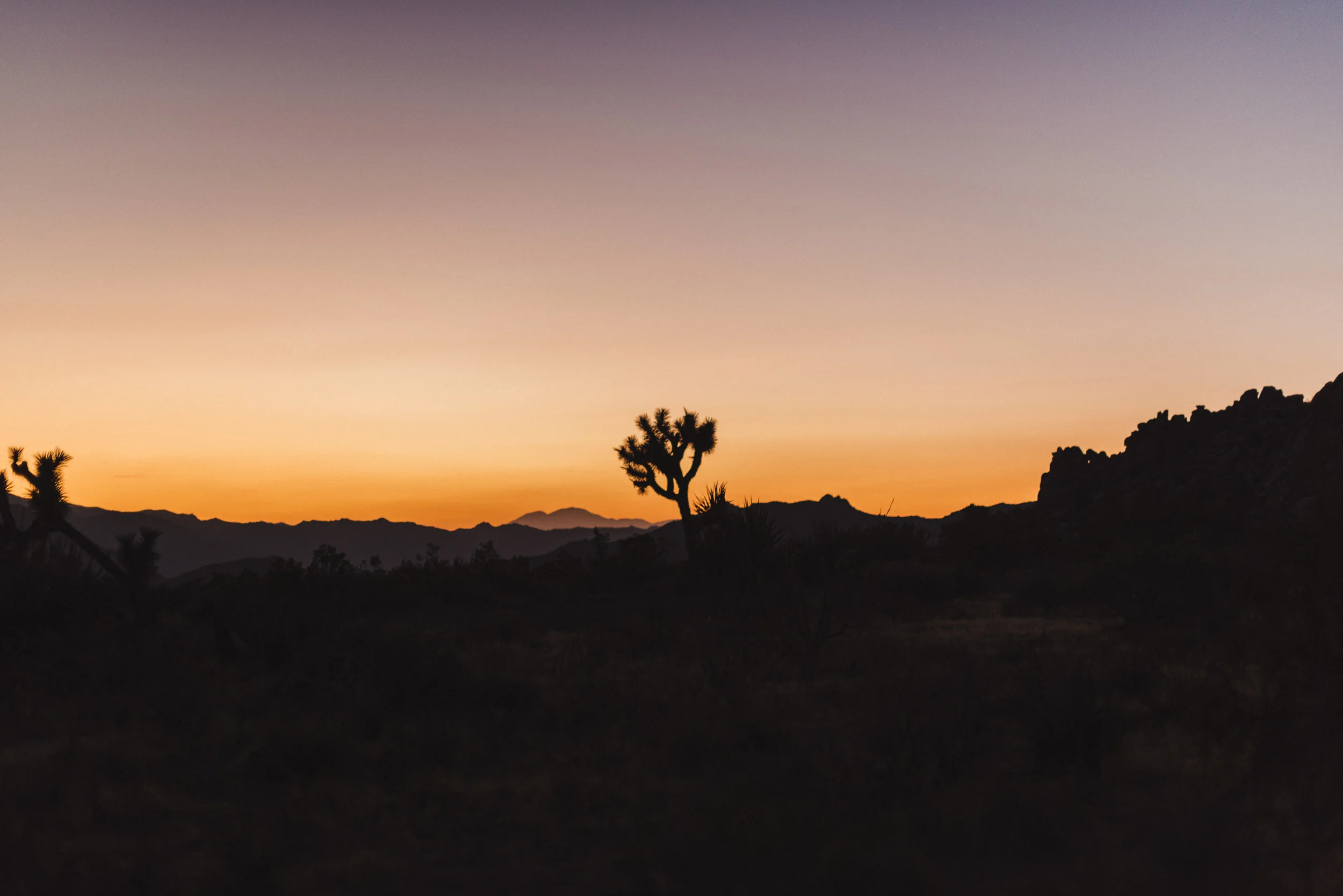 sMagdalena + Yoan - Elopement, Joshua Tree CA-179.jpg
