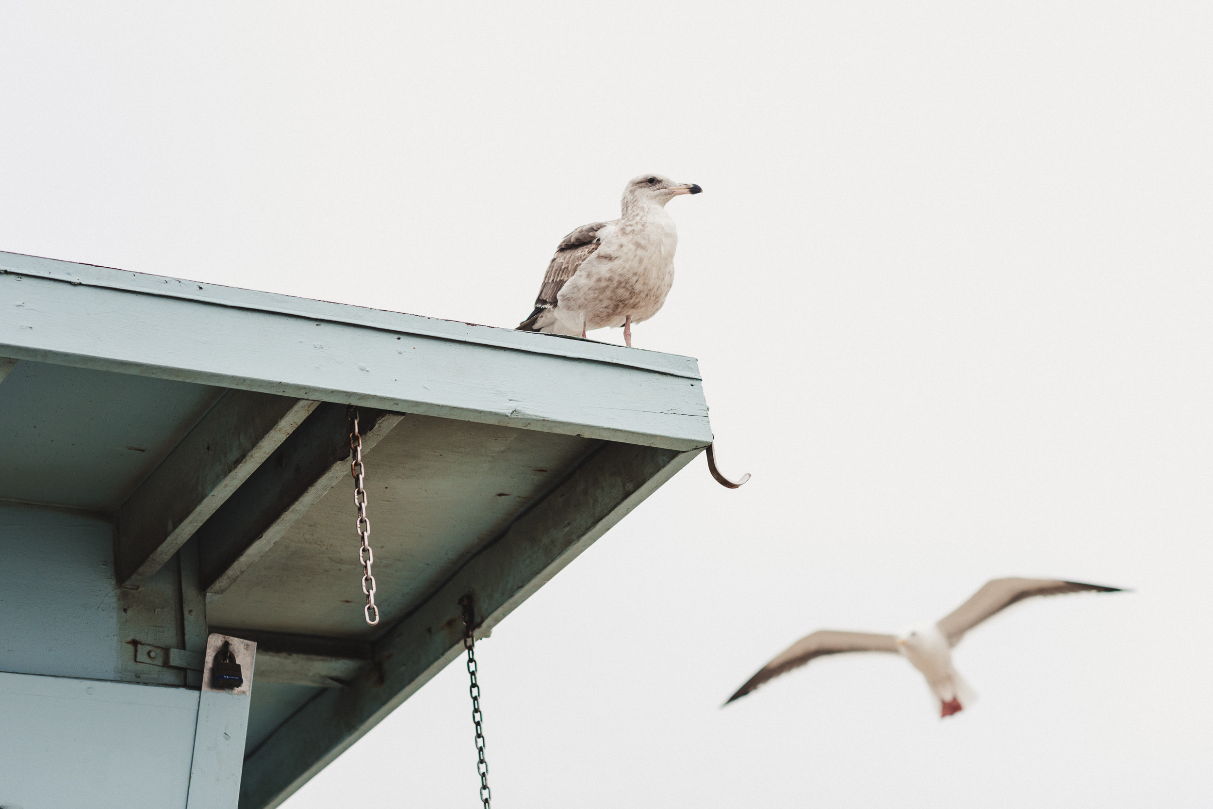 sKate + Danny - Engagement, Santa Monica-71.jpg