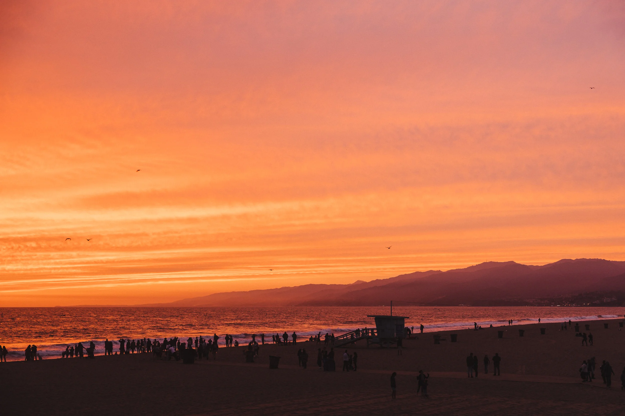 sKate + Danny - Engagement, Santa Monica-112.jpg