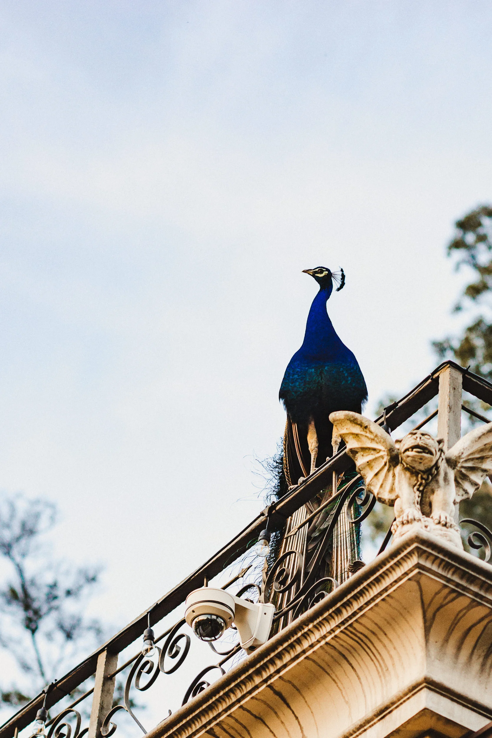 sC+D - Houdini's Mansion - 03 Details-53.jpg