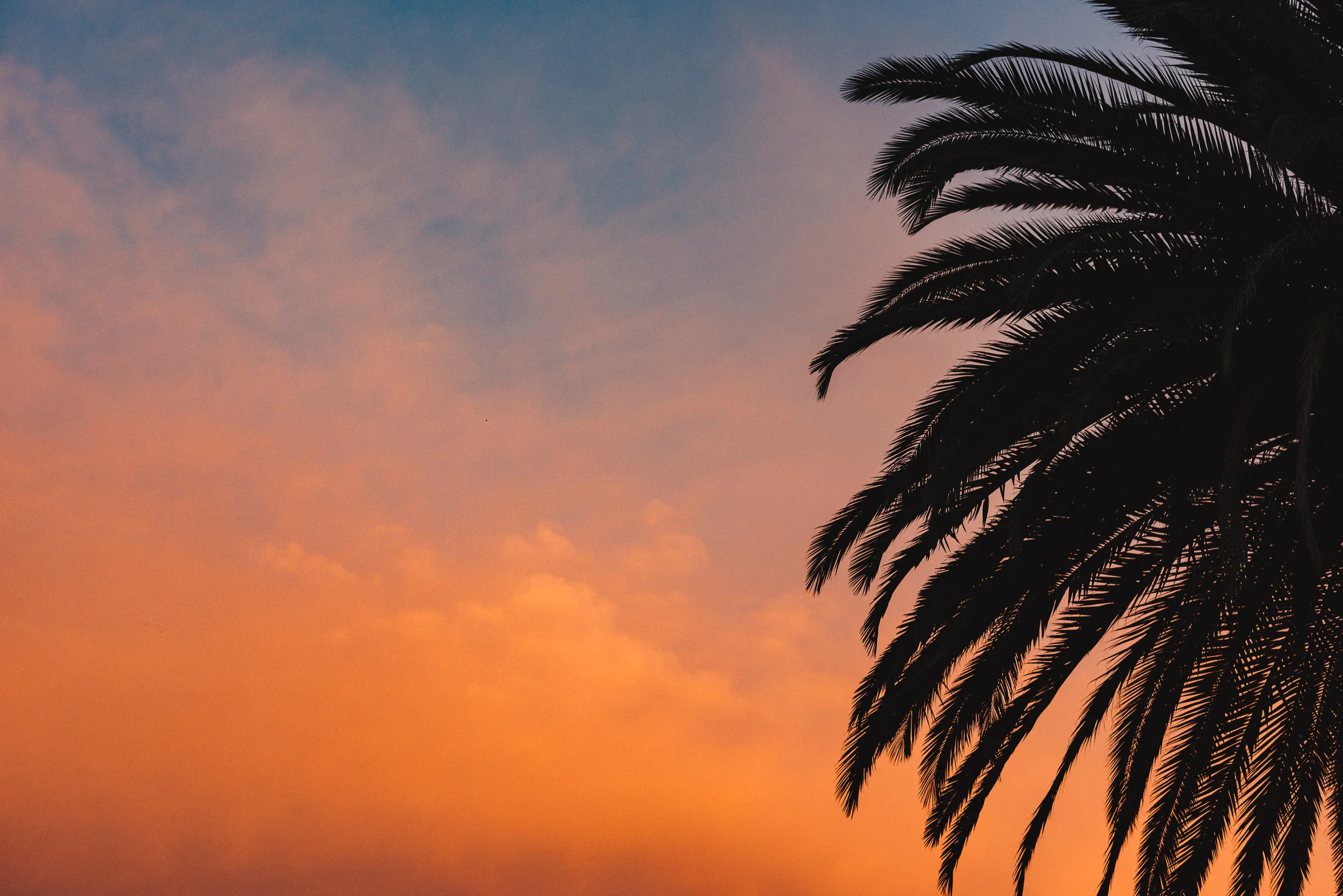 sC+D - Houdini's Mansion - 03 Details-56.jpg