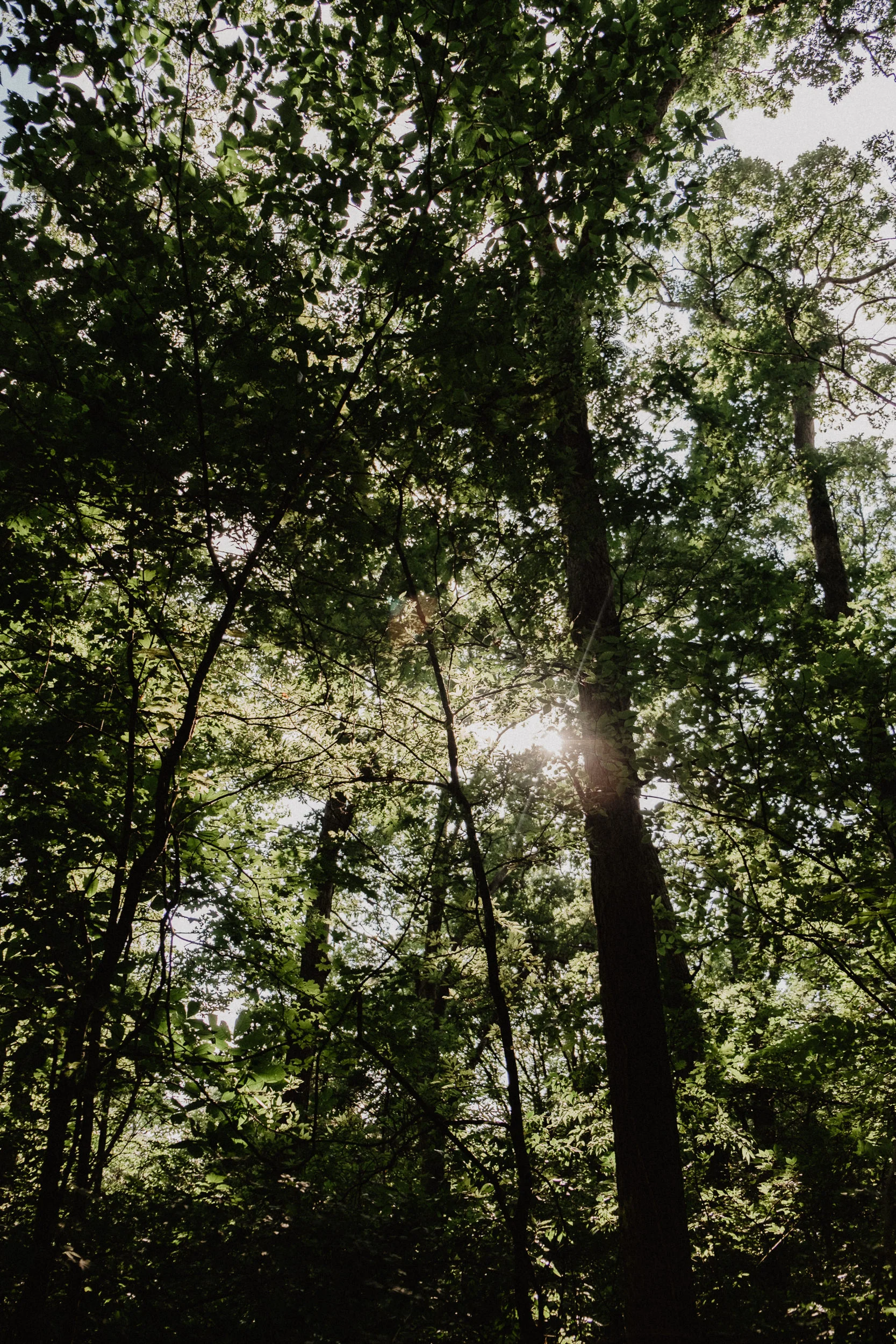 sLA to Chicago via Route 66 - July 2018-244.jpg