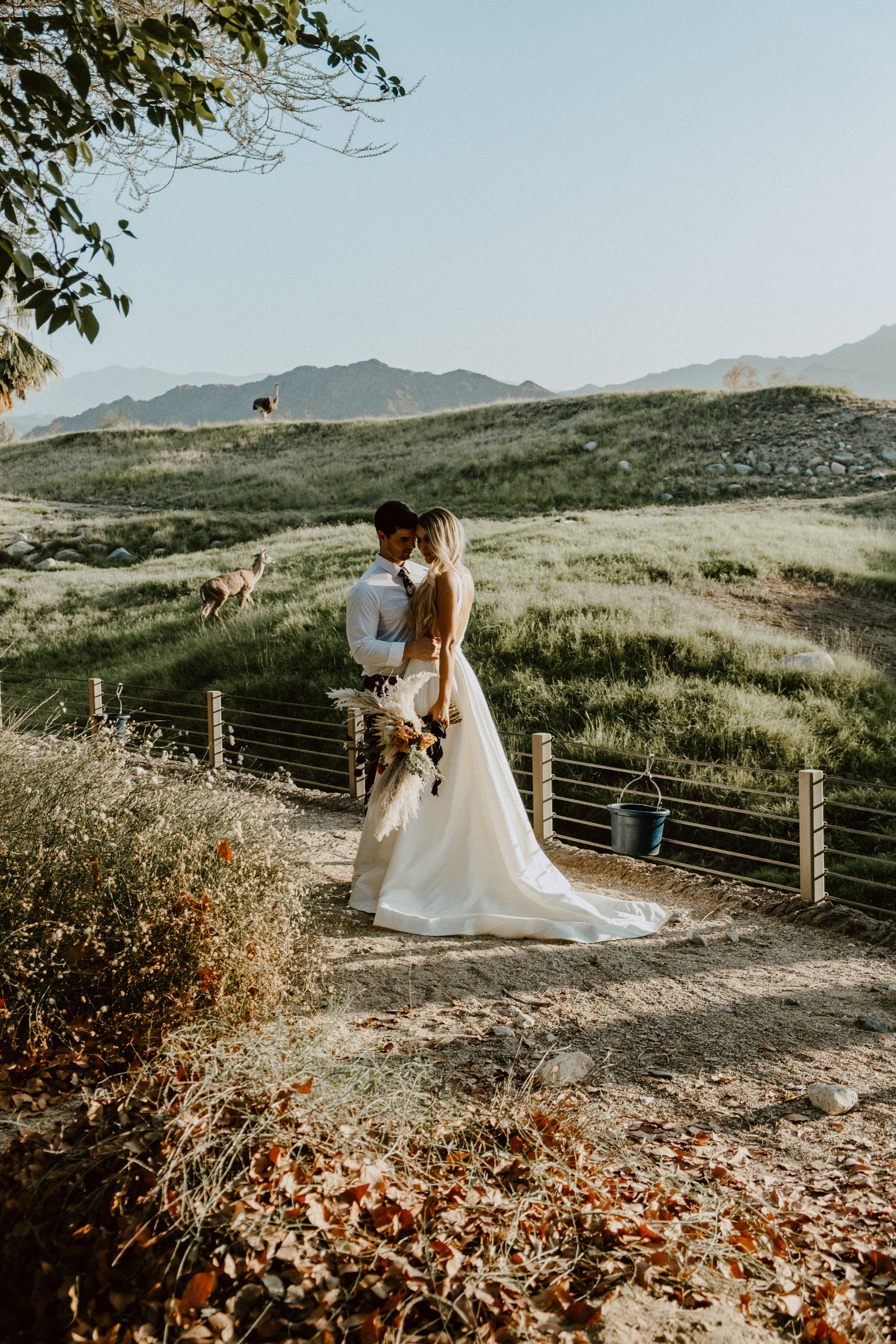 sChelsie + Chris - The Desert Shootout Wedding Romantics at The Living Desert-14.jpg