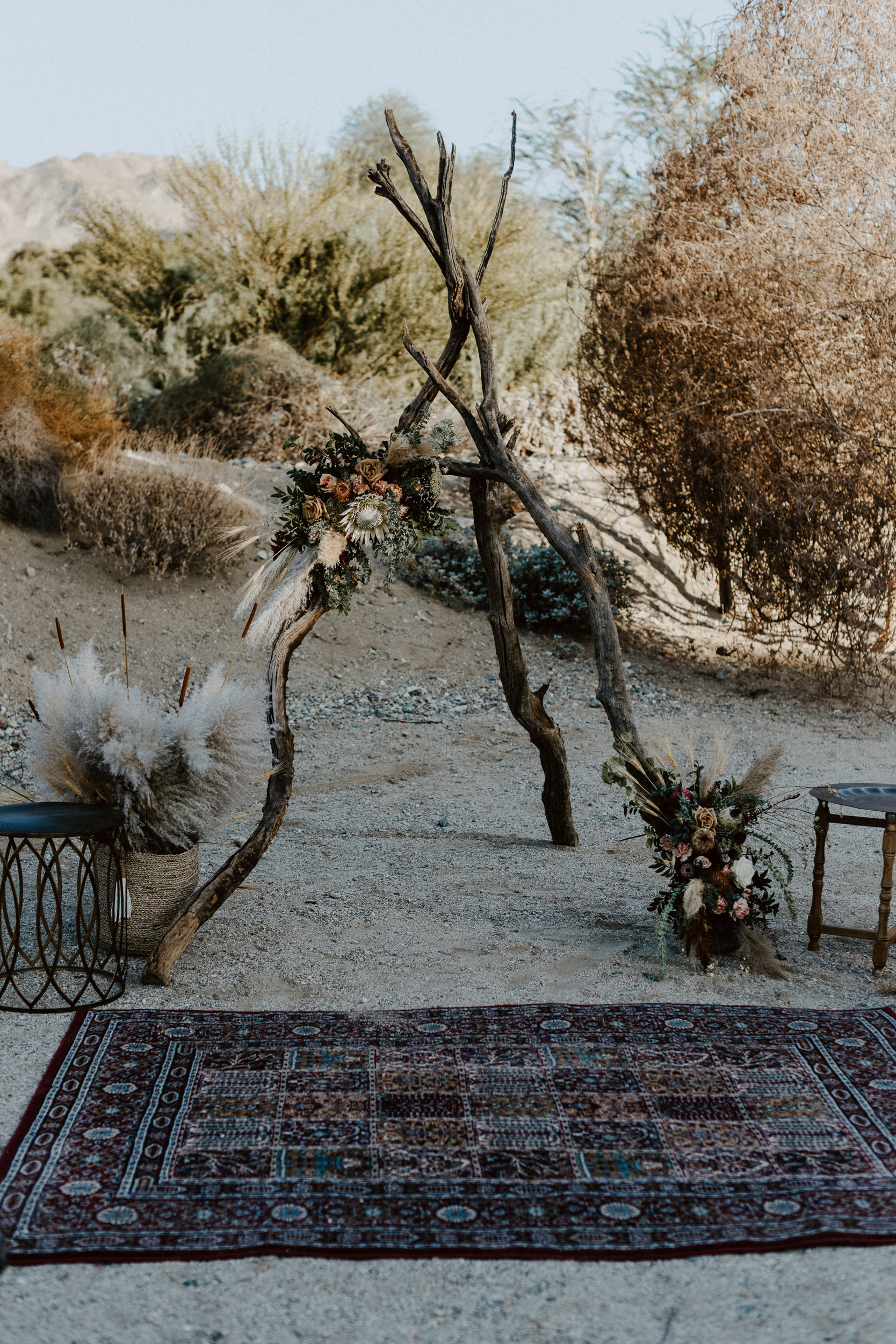 sChelsie + Chris - The Desert Shootout Wedding Romantics at The Living Desert-44.jpg