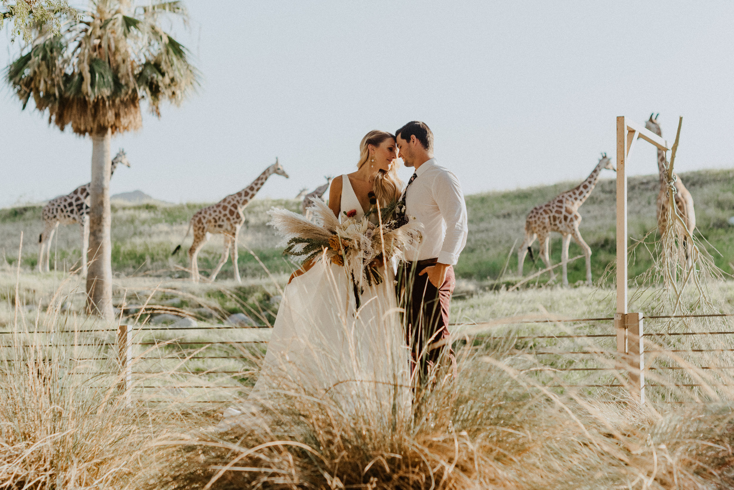 sChelsie + Chris - The Desert Shootout Wedding Romantics at The Living Desert-70.jpg