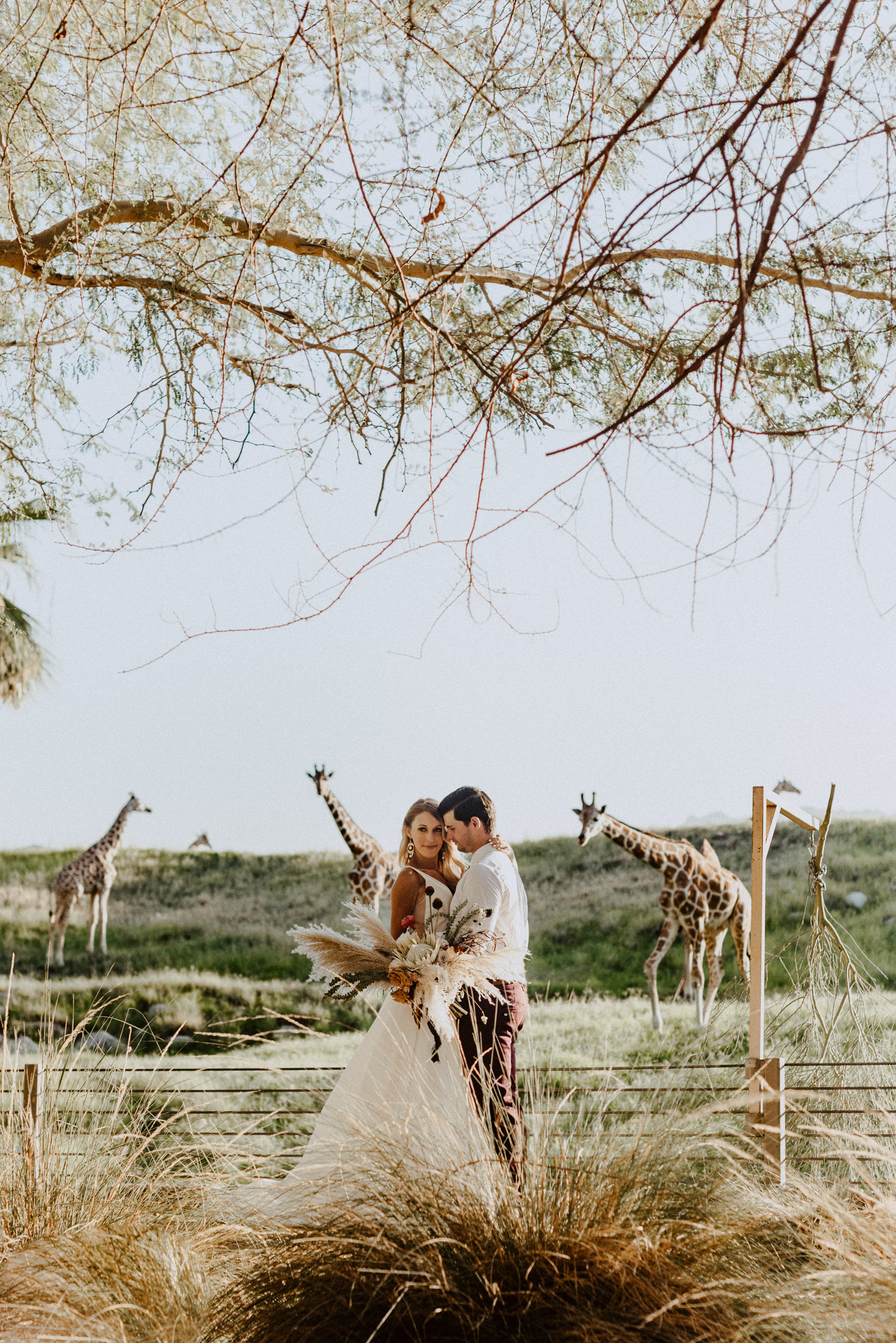 sChelsie + Chris - The Desert Shootout Wedding Romantics at The Living Desert-78.jpg