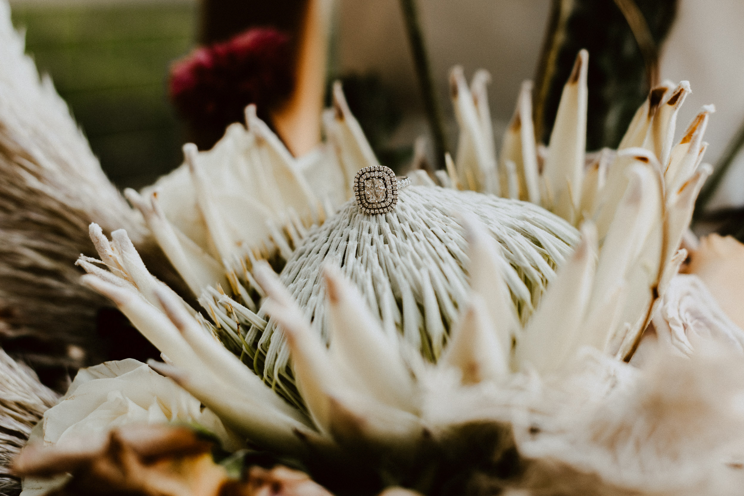 sChelsie + Chris - The Desert Shootout Wedding Romantics at The Living Desert-159.jpg