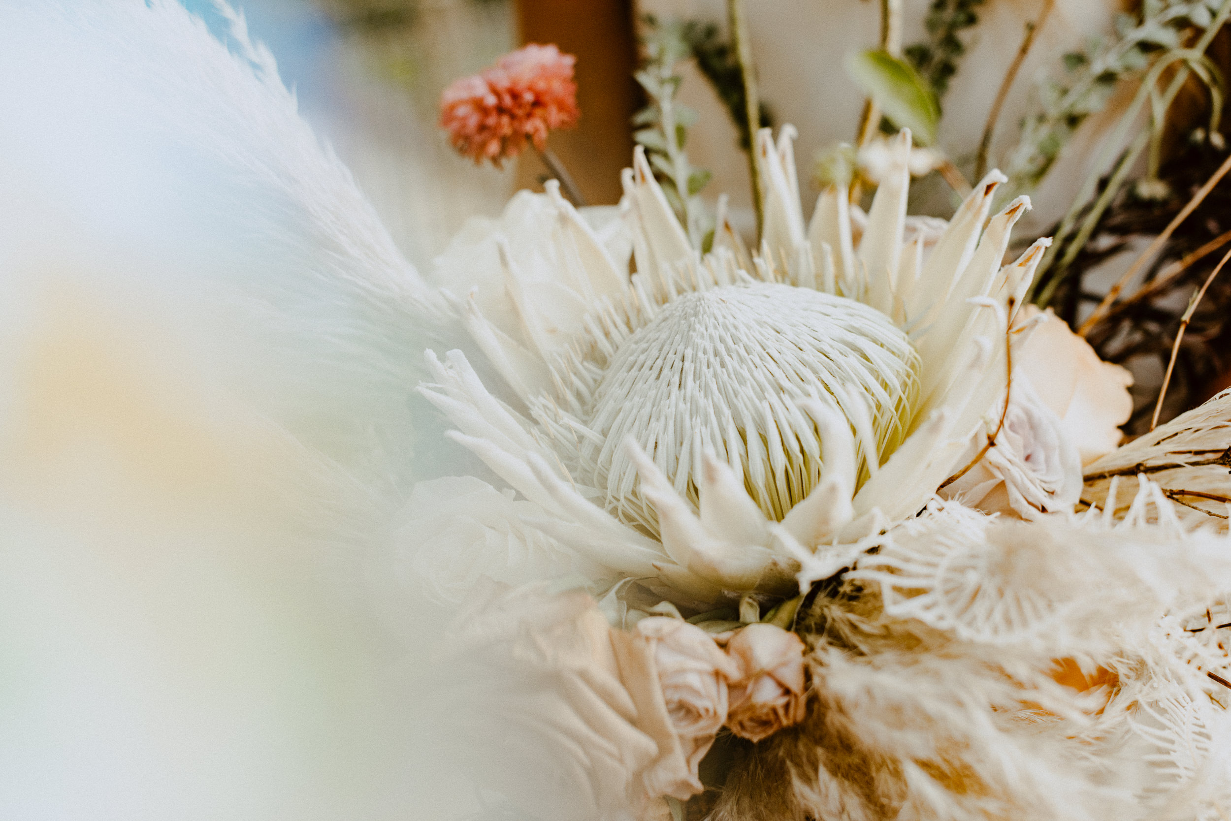 sChelsie + Chris - The Desert Shootout Wedding Romantics at The Living Desert-165.jpg