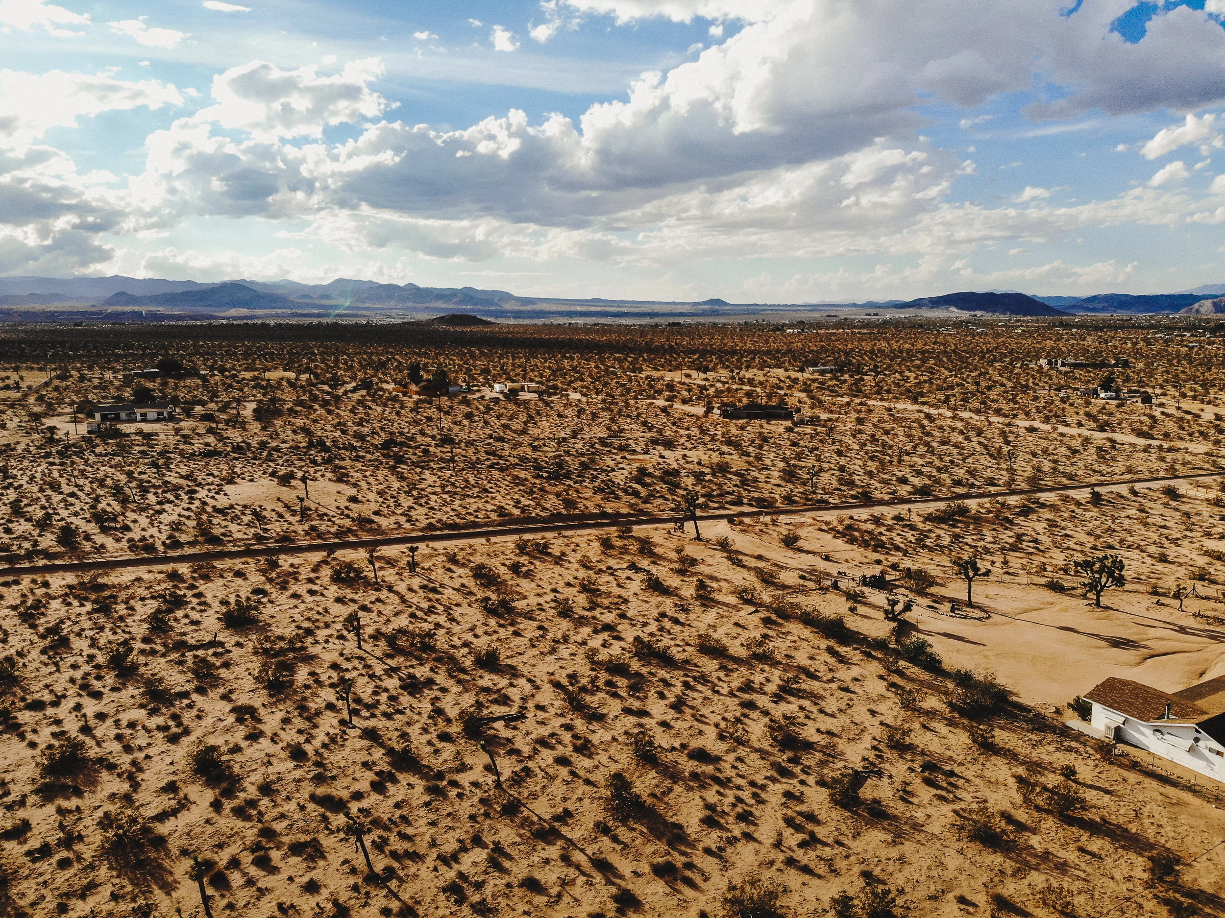 sDesert + Friends-1.jpg