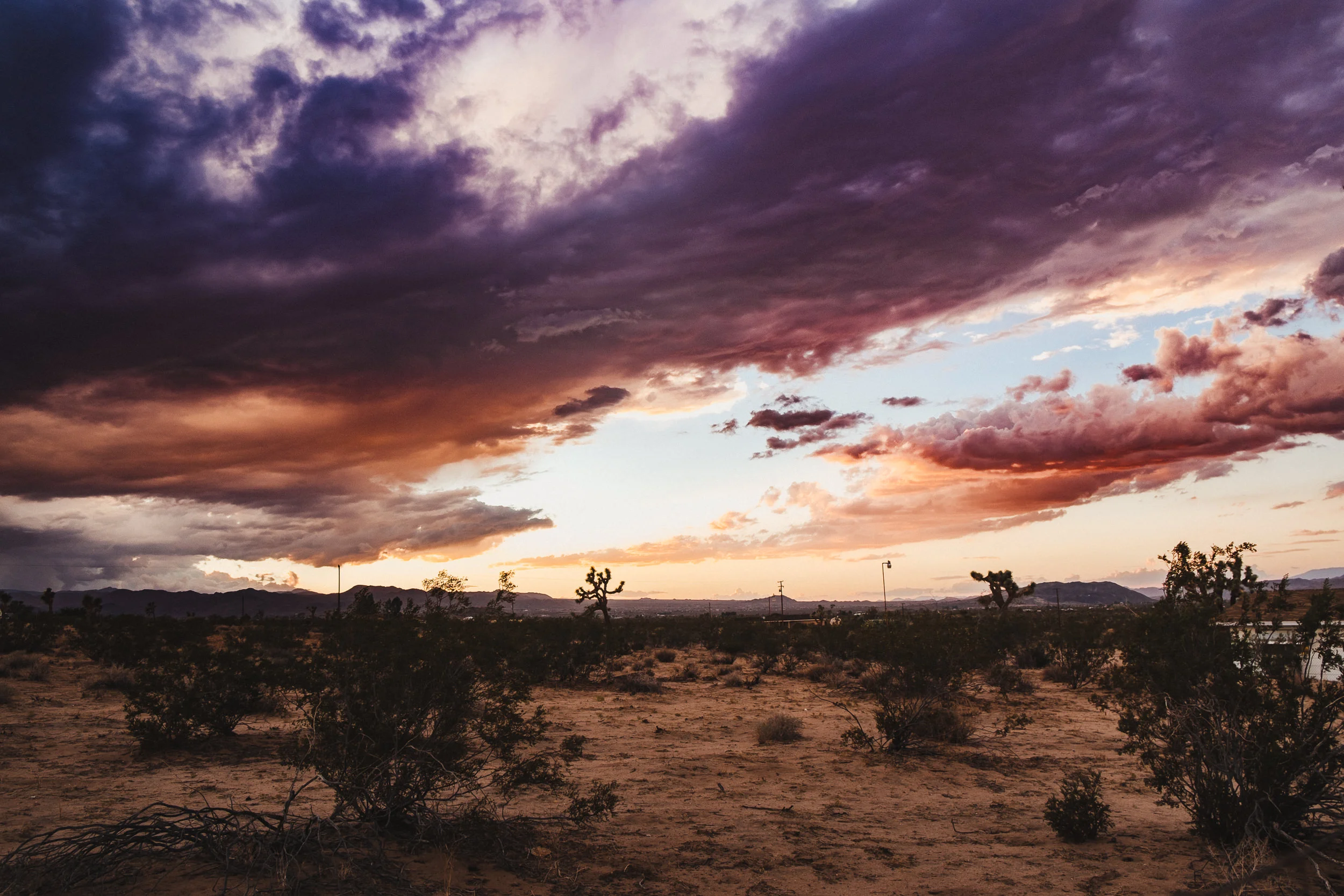 sDesert + Friends-3.jpg