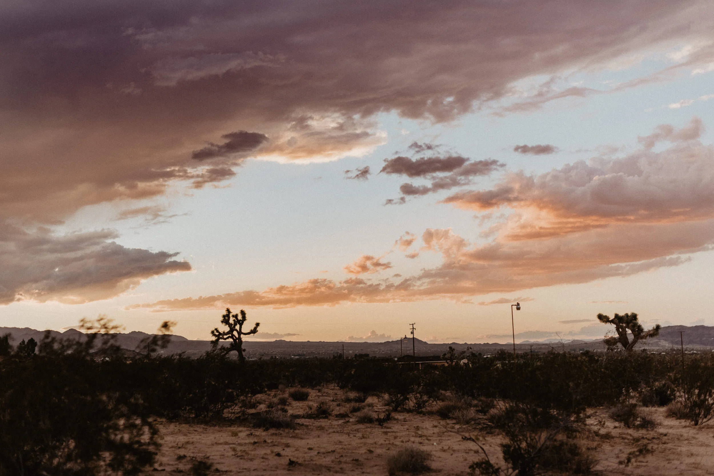 sDesert + Friends-9.jpg