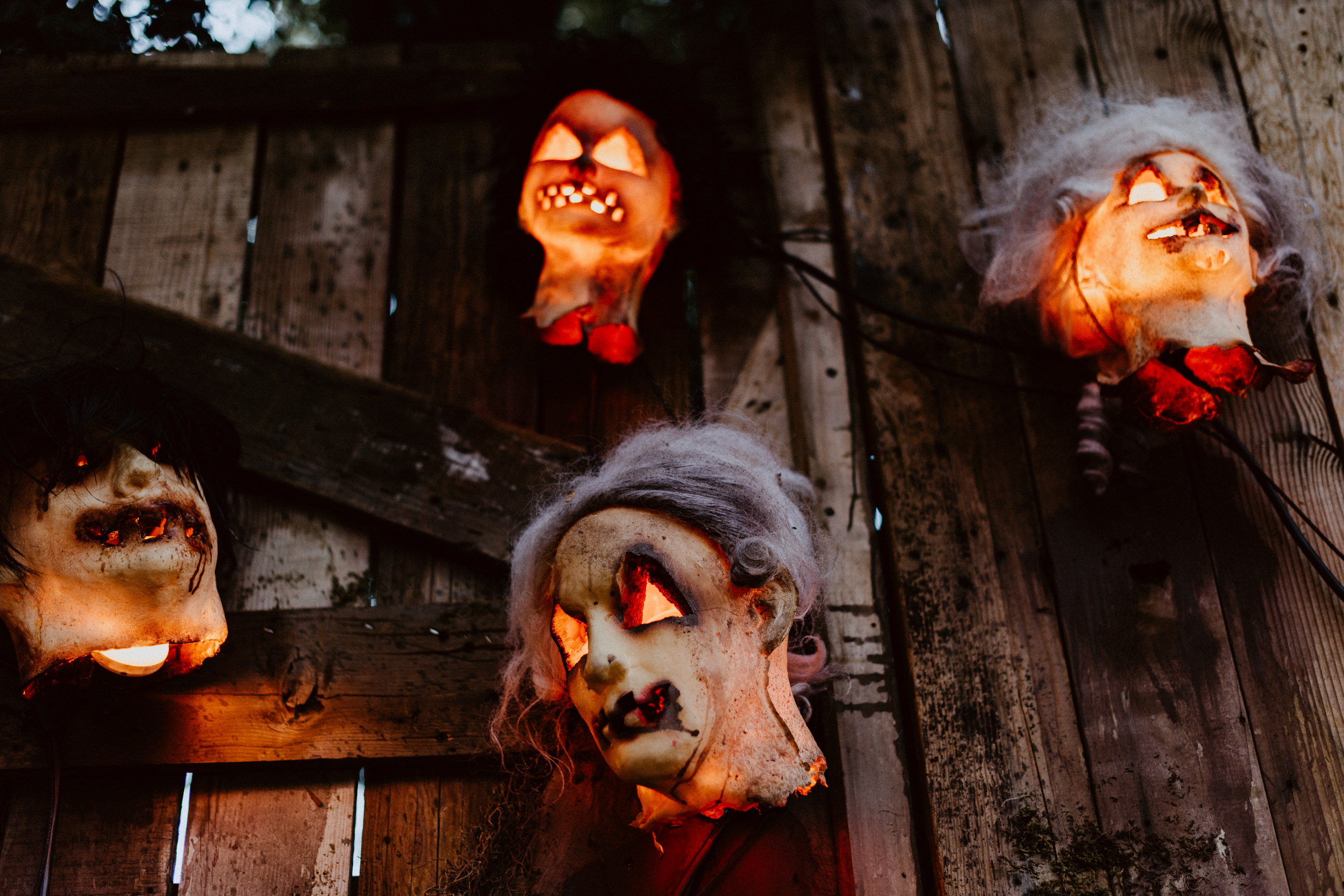 sKreator's Halloween Sesh - Old LA Zoo-185.jpg