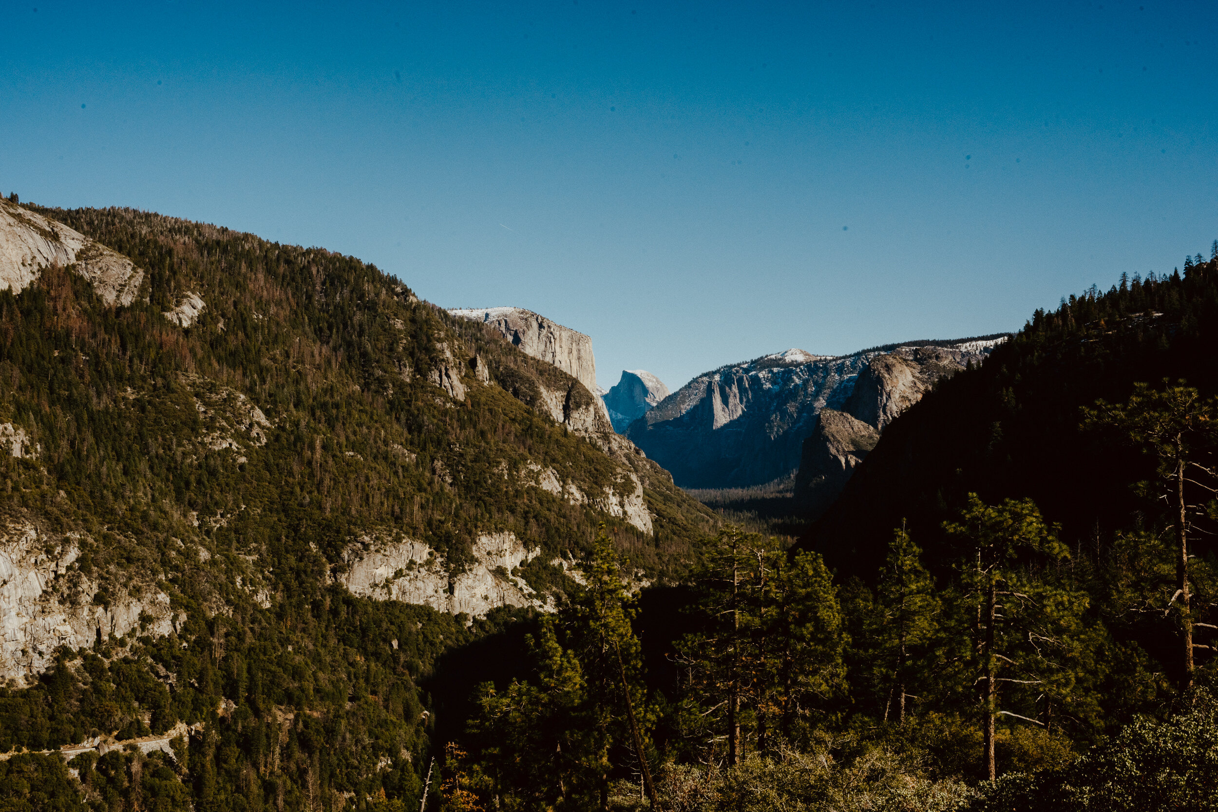 sYosemite to San Fran Road Trip-49.jpg