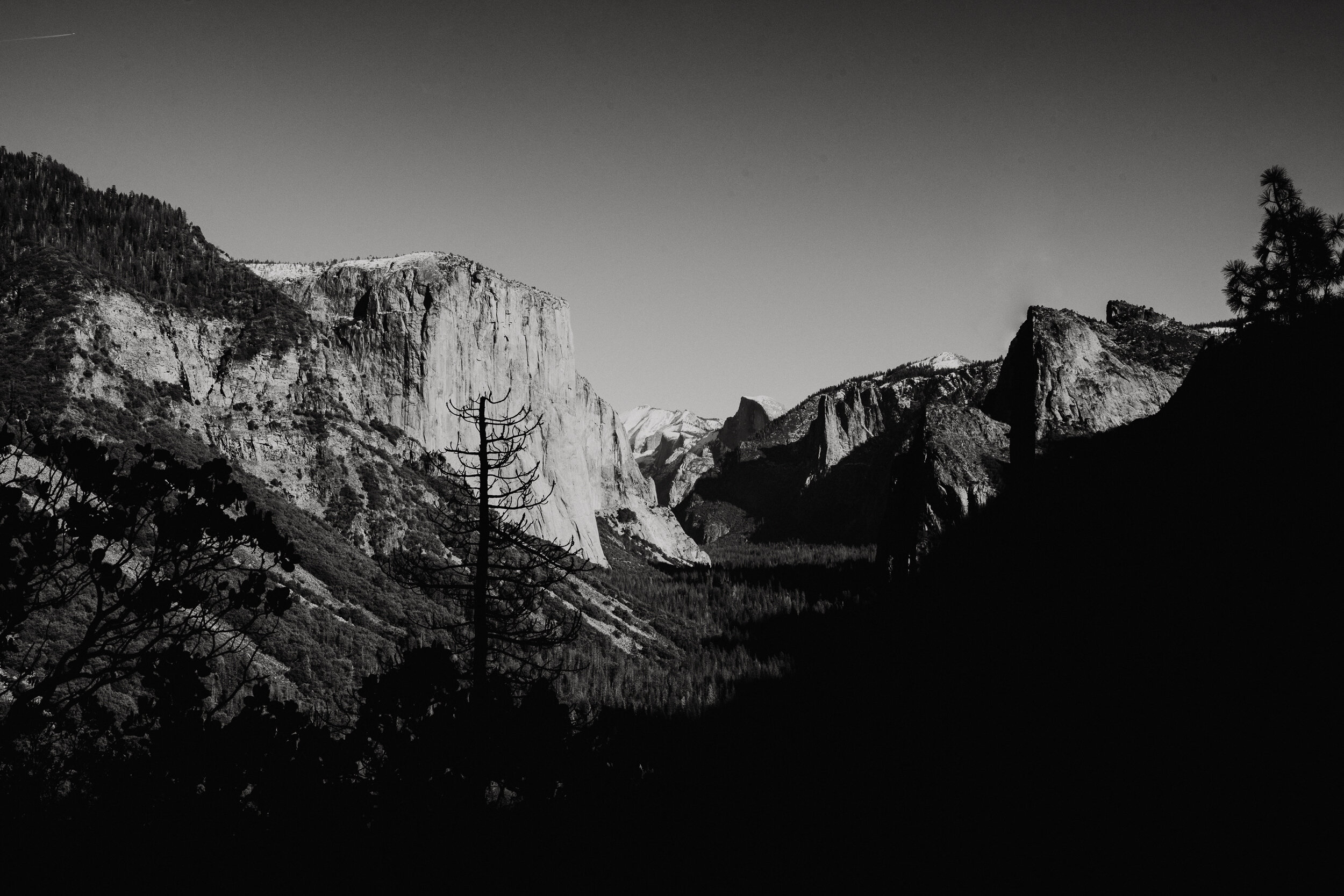 sYosemite to San Fran Road Trip-77.jpg