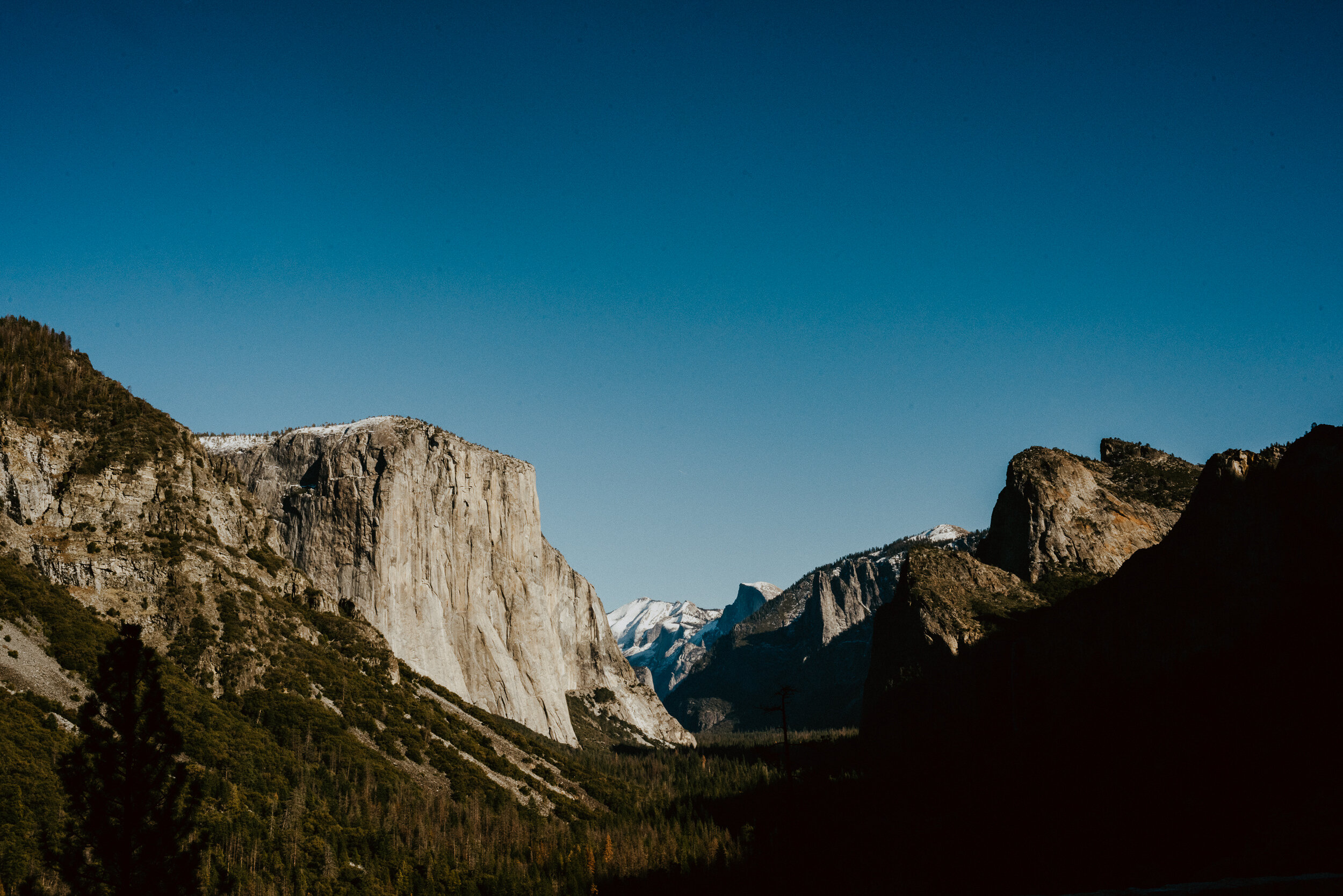 sYosemite to San Fran Road Trip-66.jpg