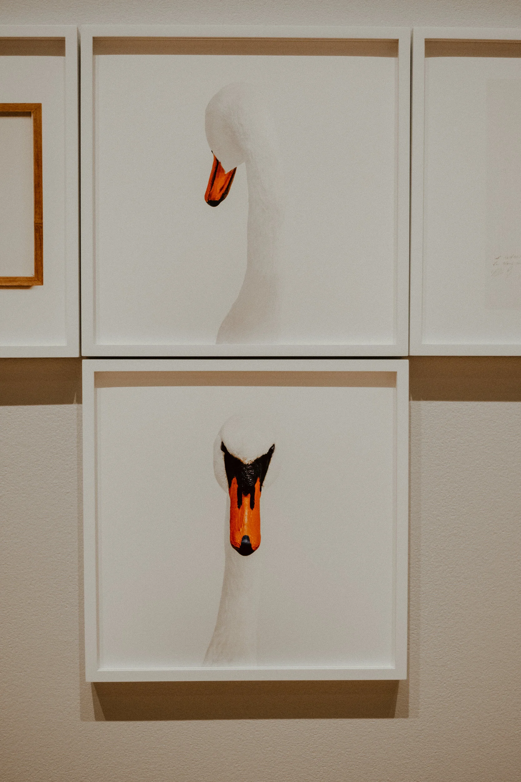 sMOCA Day - Feb 2019-27.jpg