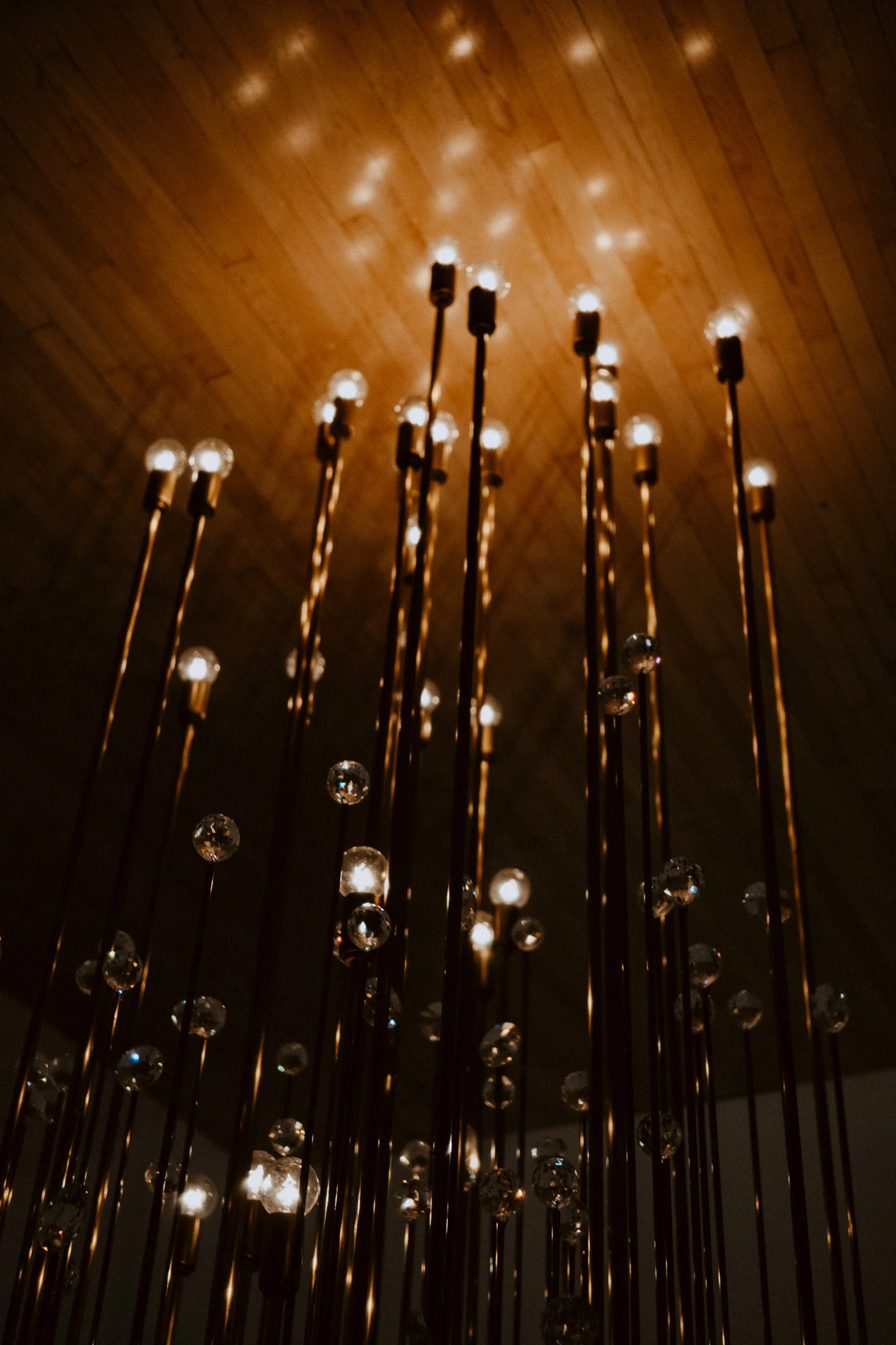 sMOCA Day - Feb 2019-35.jpg