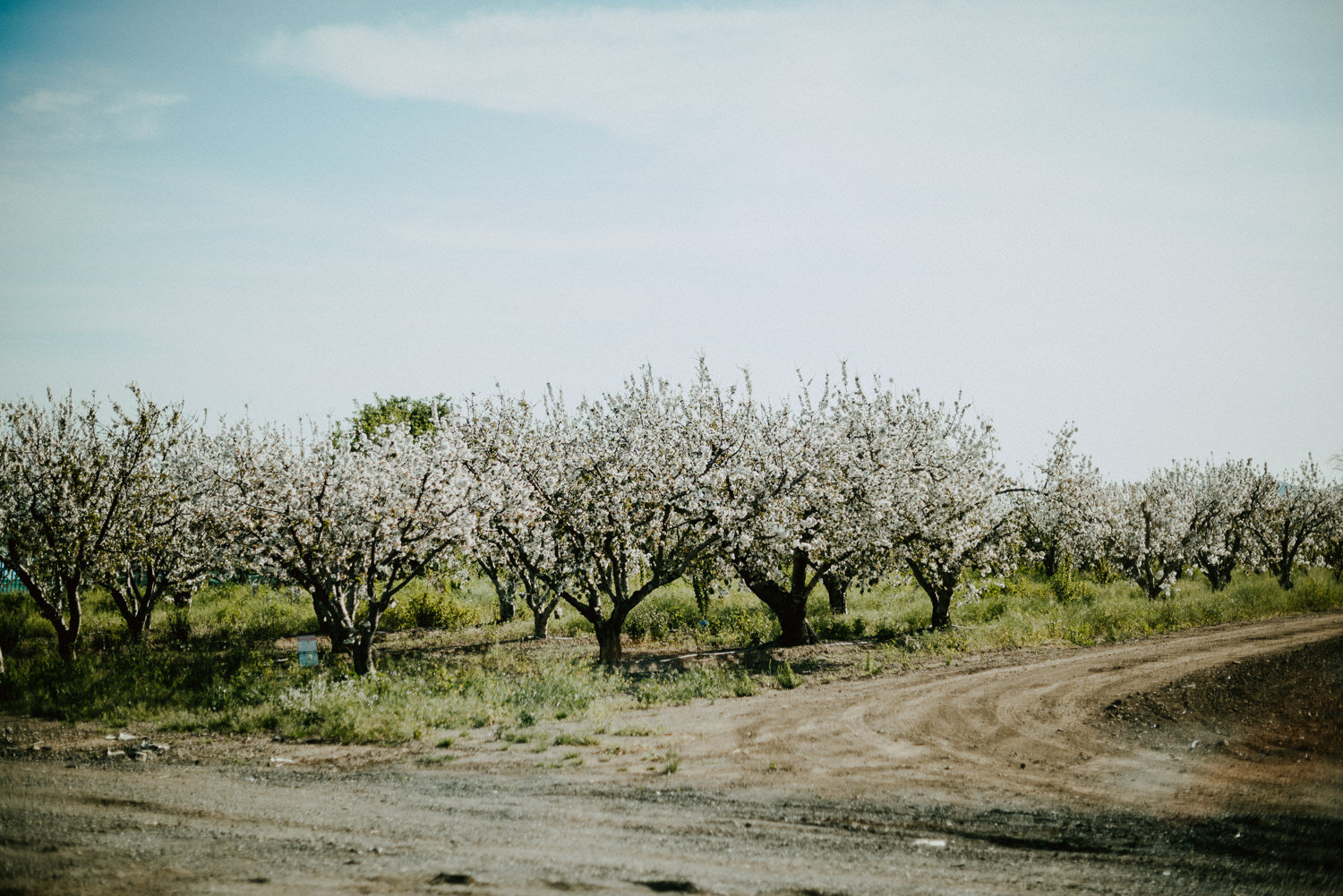 BW_Girls Road Trip - San Jose, CA-25.jpg